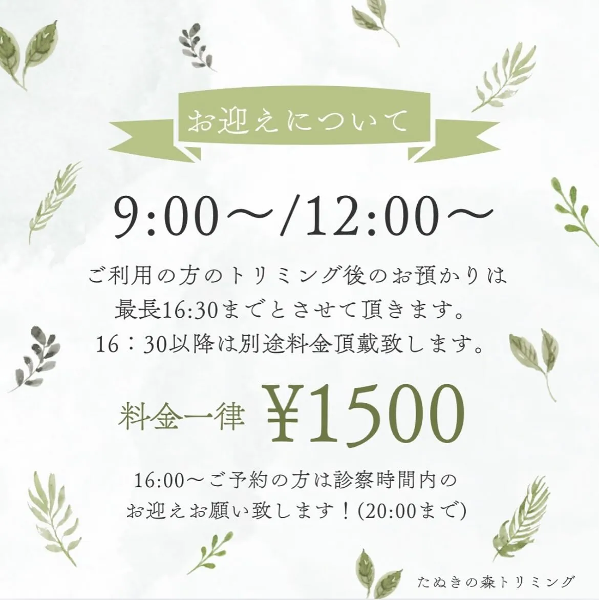 🍃トリミングからお知らせ🍃