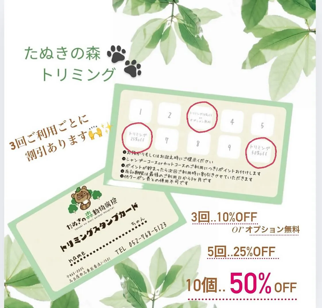 🍃トリミングからお知らせ🍃