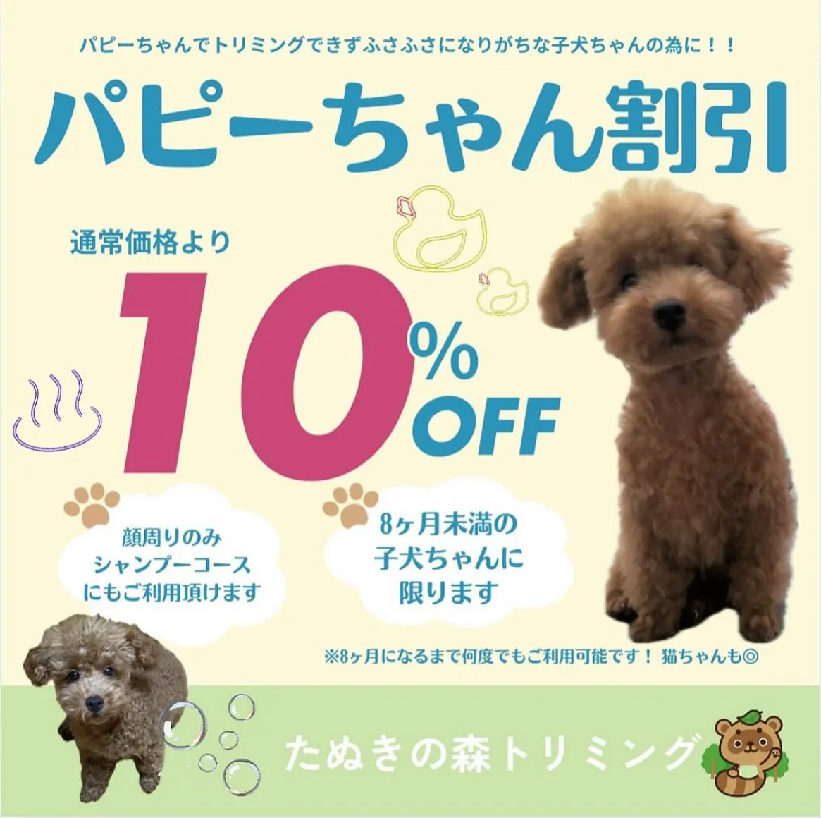 🍃トリミングからお知らせ🍃