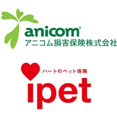 🍃お知らせ🍃