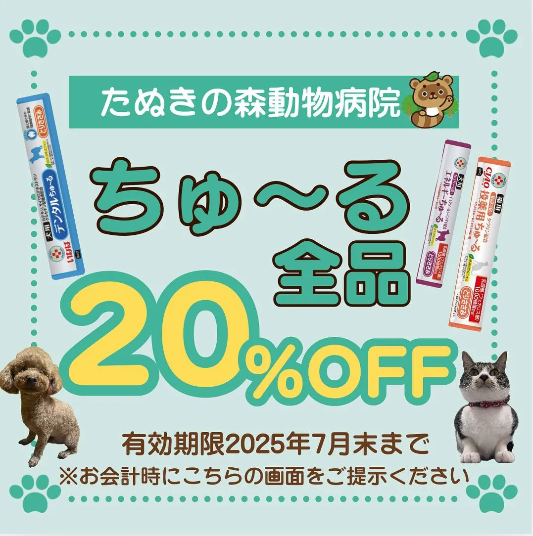 🍃ちゅ〜る割引🍃