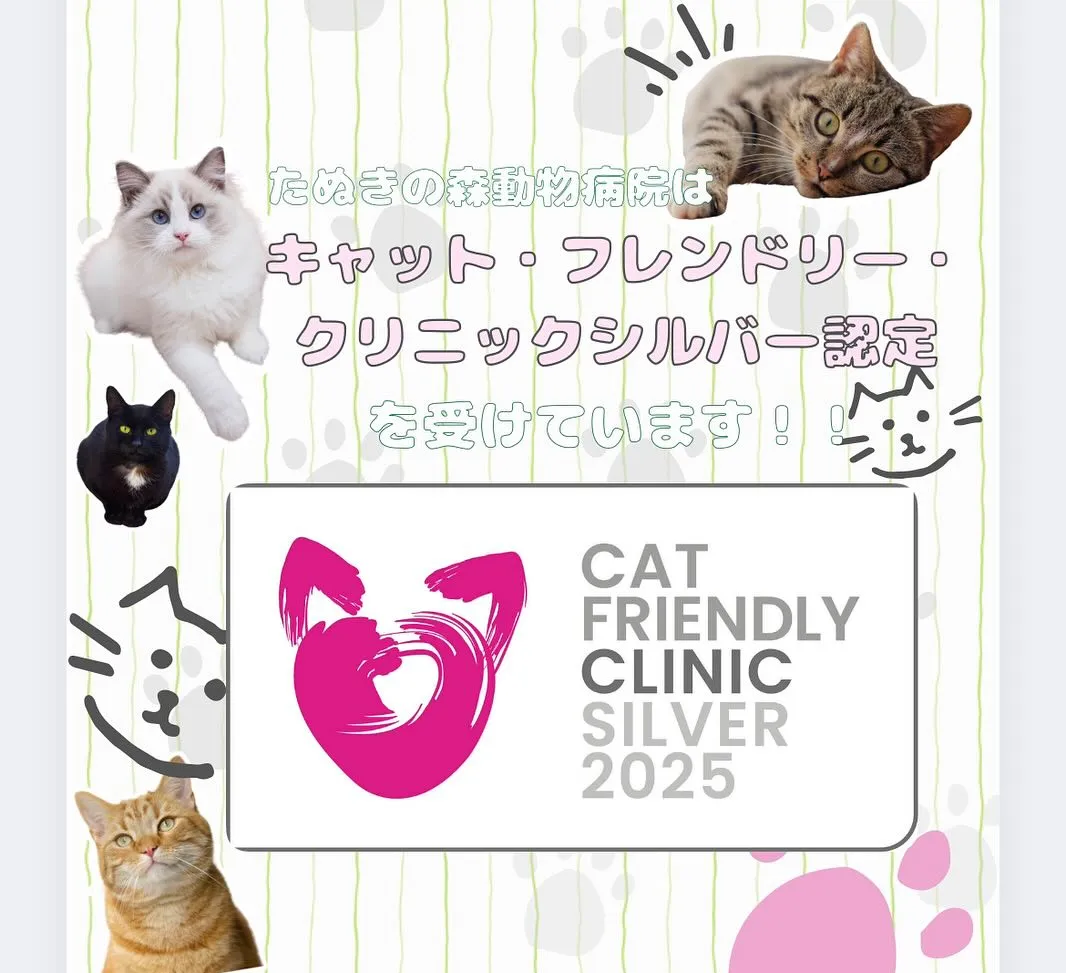 🍃お知らせ🍃