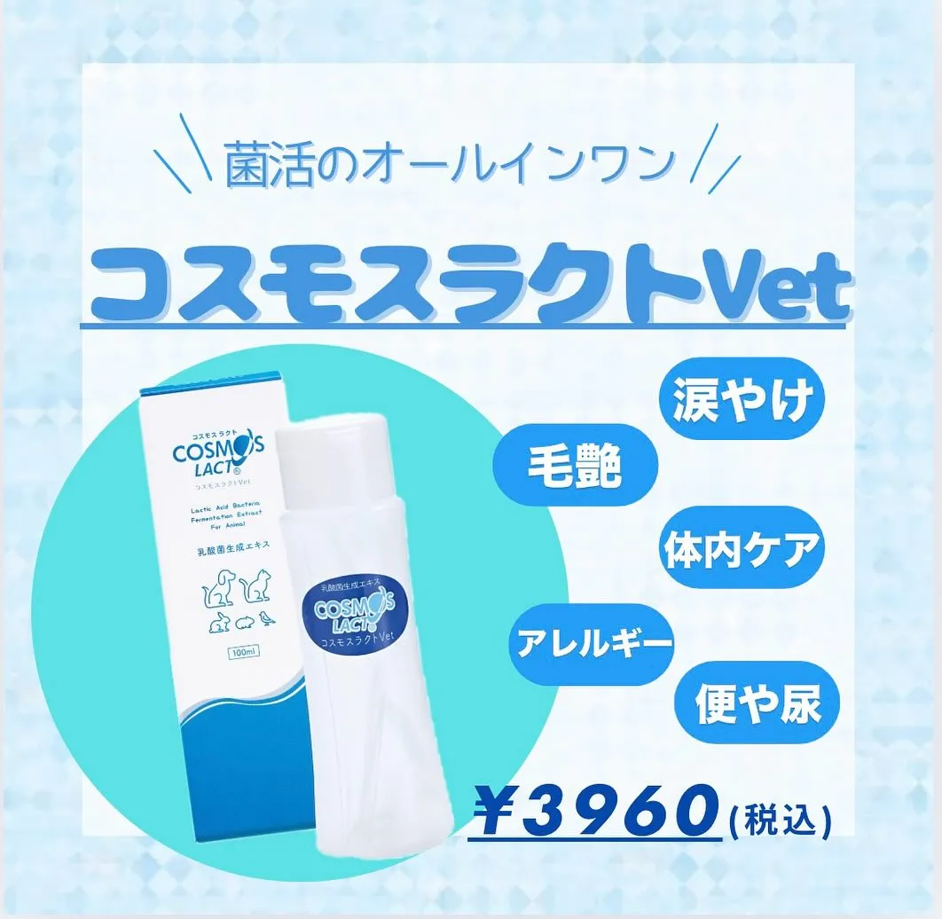 🍃商品紹介🍃