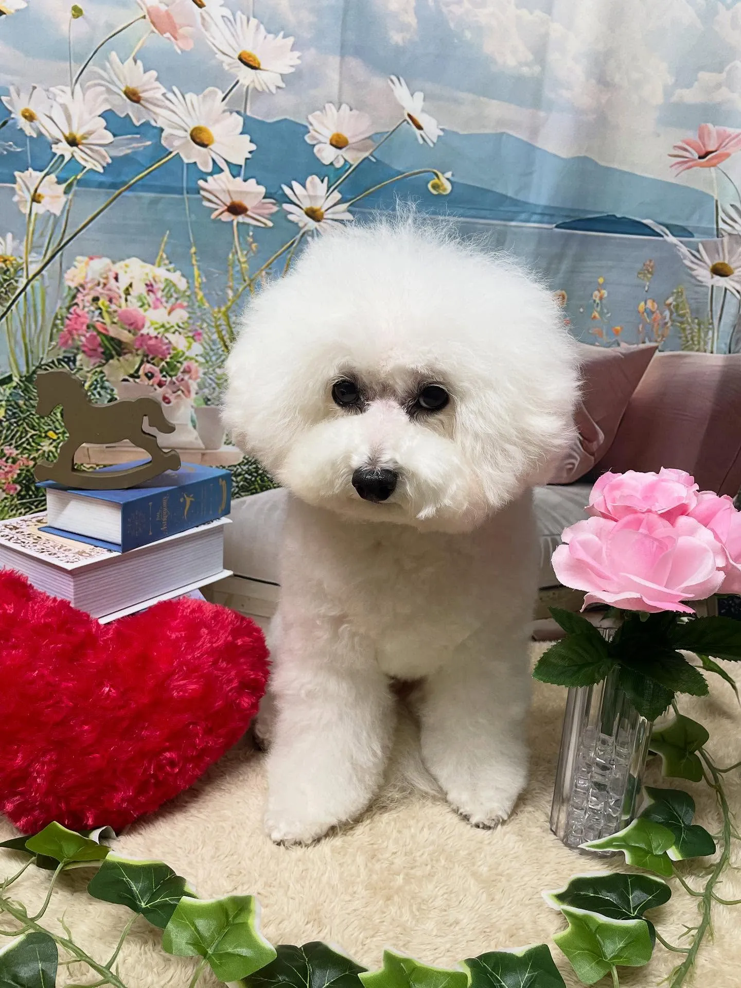 🍃今日のトリミング🍃プードル🐶｜名東区・千種区・守山区の動物...