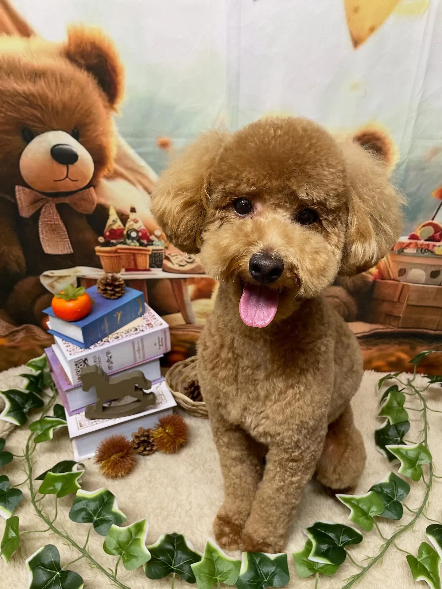 🍃今日のトリミング🍃プードル🐶｜名東区・千種区・守山区の動物...