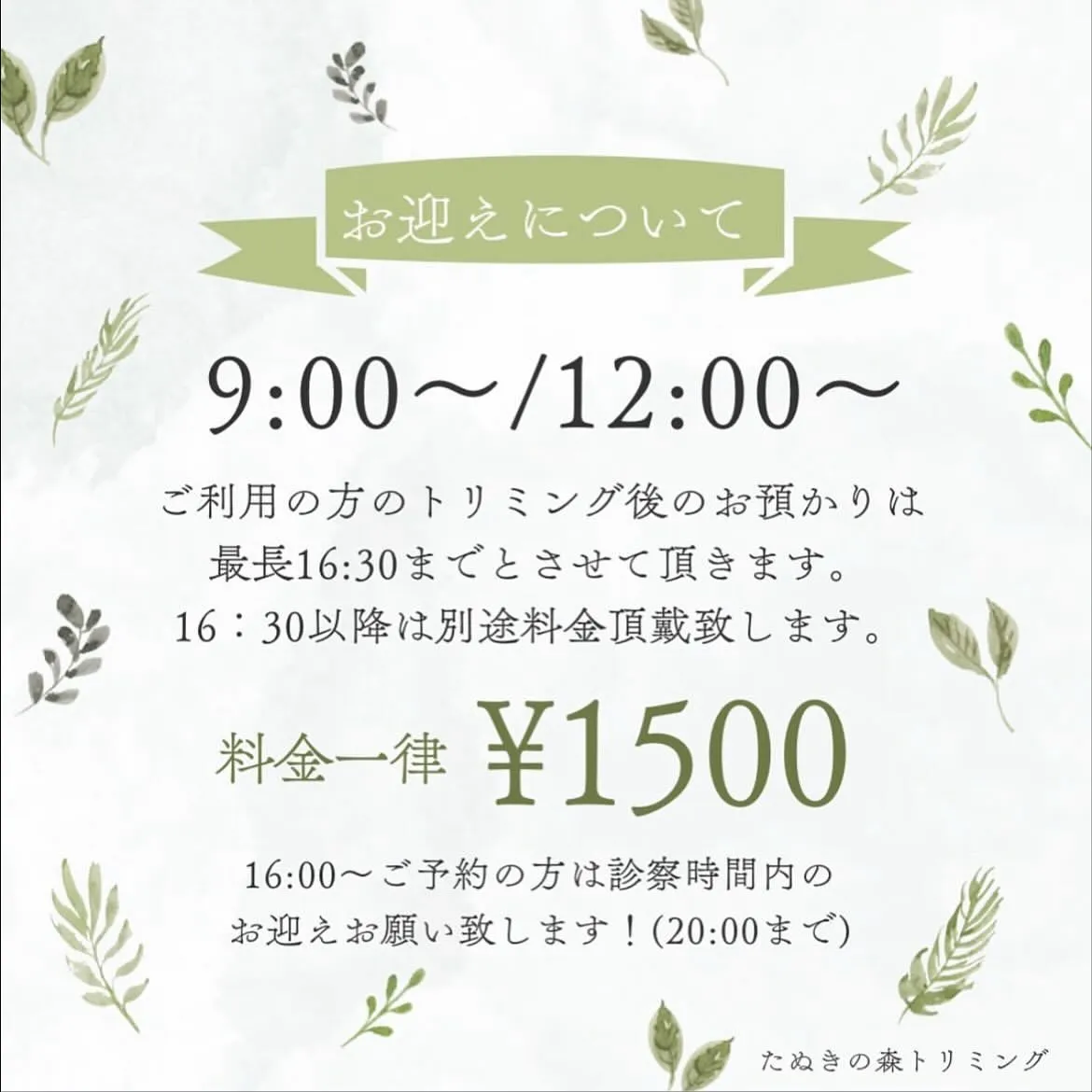 đăăȘăăłă°ăăăç„ăăđ