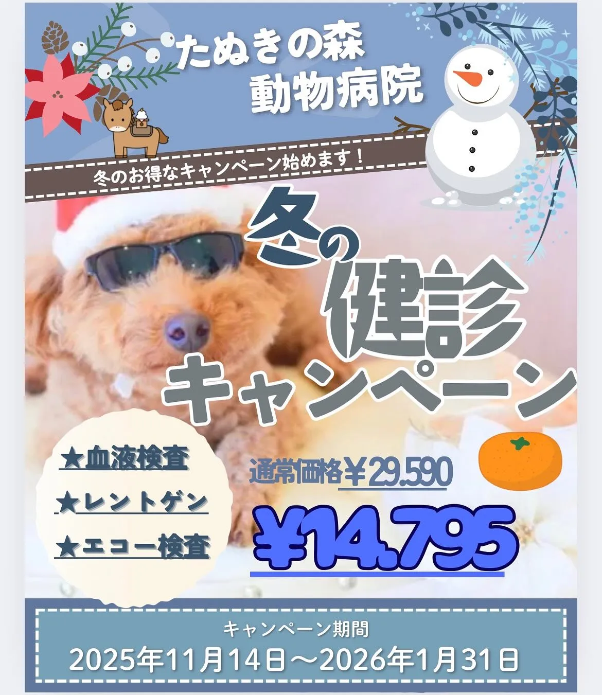 🍃冬の健診キャンペーン🍃