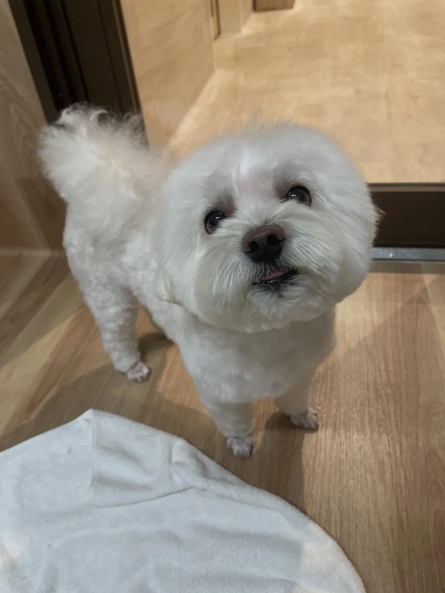 ð仿¥ã®ããªãã³ã°ðããã¯ã¹ç¬ð¶ïœåæ±åºã»åçš®åºã»å®å±±åºã®å...