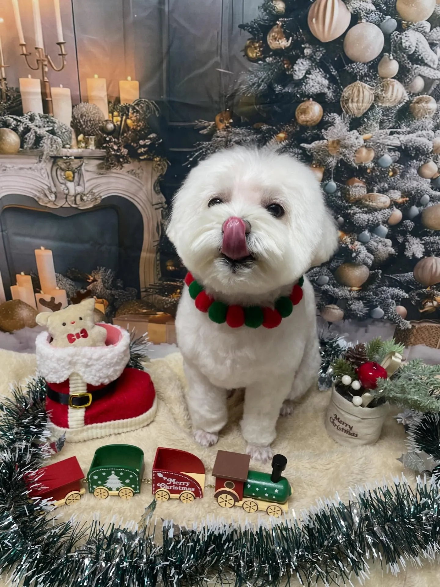 ð仿¥ã®ããªãã³ã°ðããã¯ã¹ç¬ð¶ïœåæ±åºã»åçš®åºã»å®å±±åºã®å...