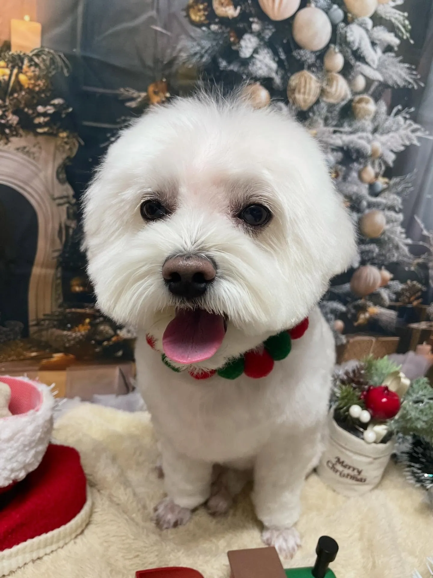 ð仿¥ã®ããªãã³ã°ðããã¯ã¹ç¬ð¶ïœåæ±åºã»åçš®åºã»å®å±±åºã®å...