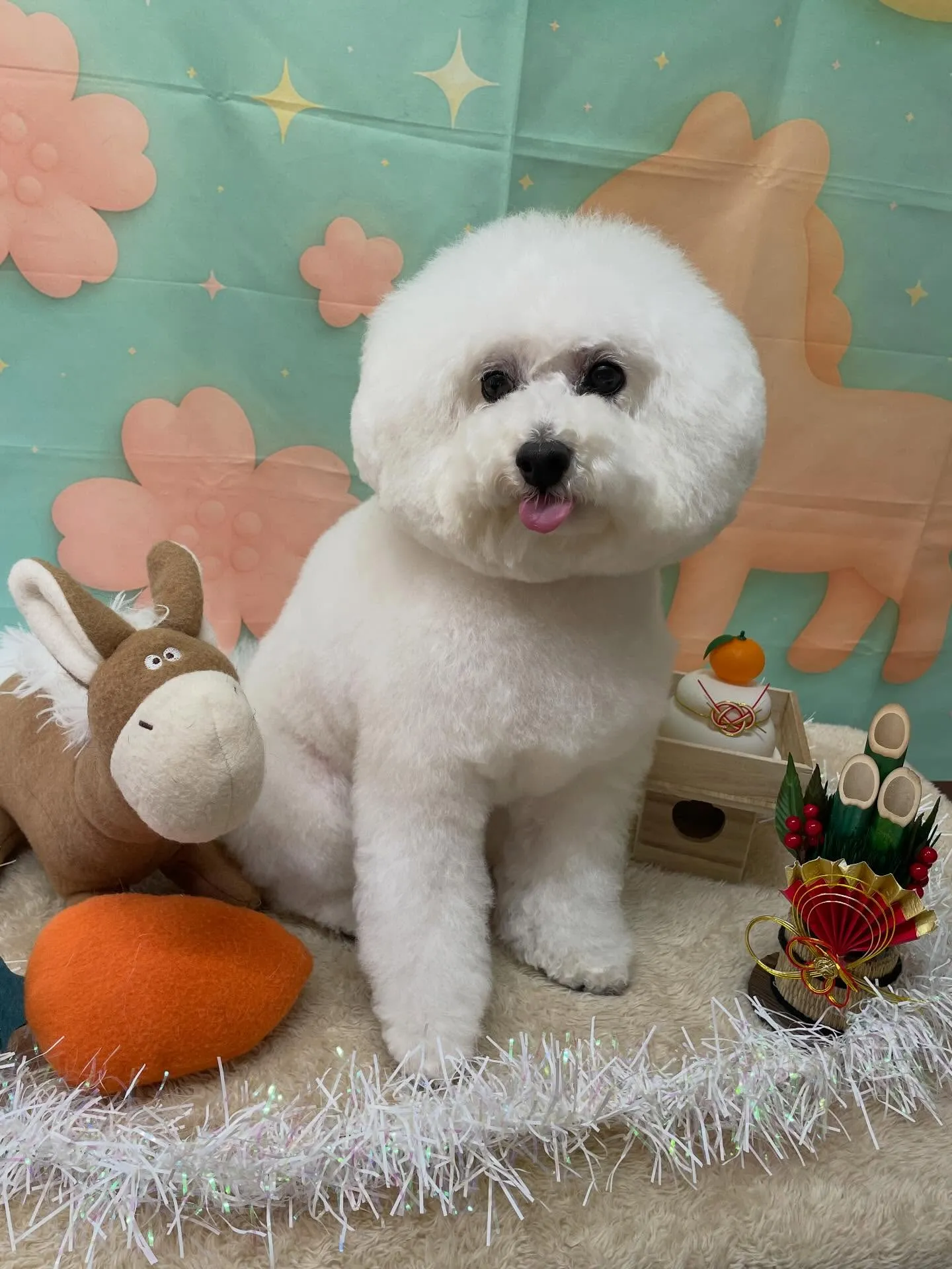 🍃1/13のトリミング🍃プードル🐶｜名東区・千種区・守山区の...