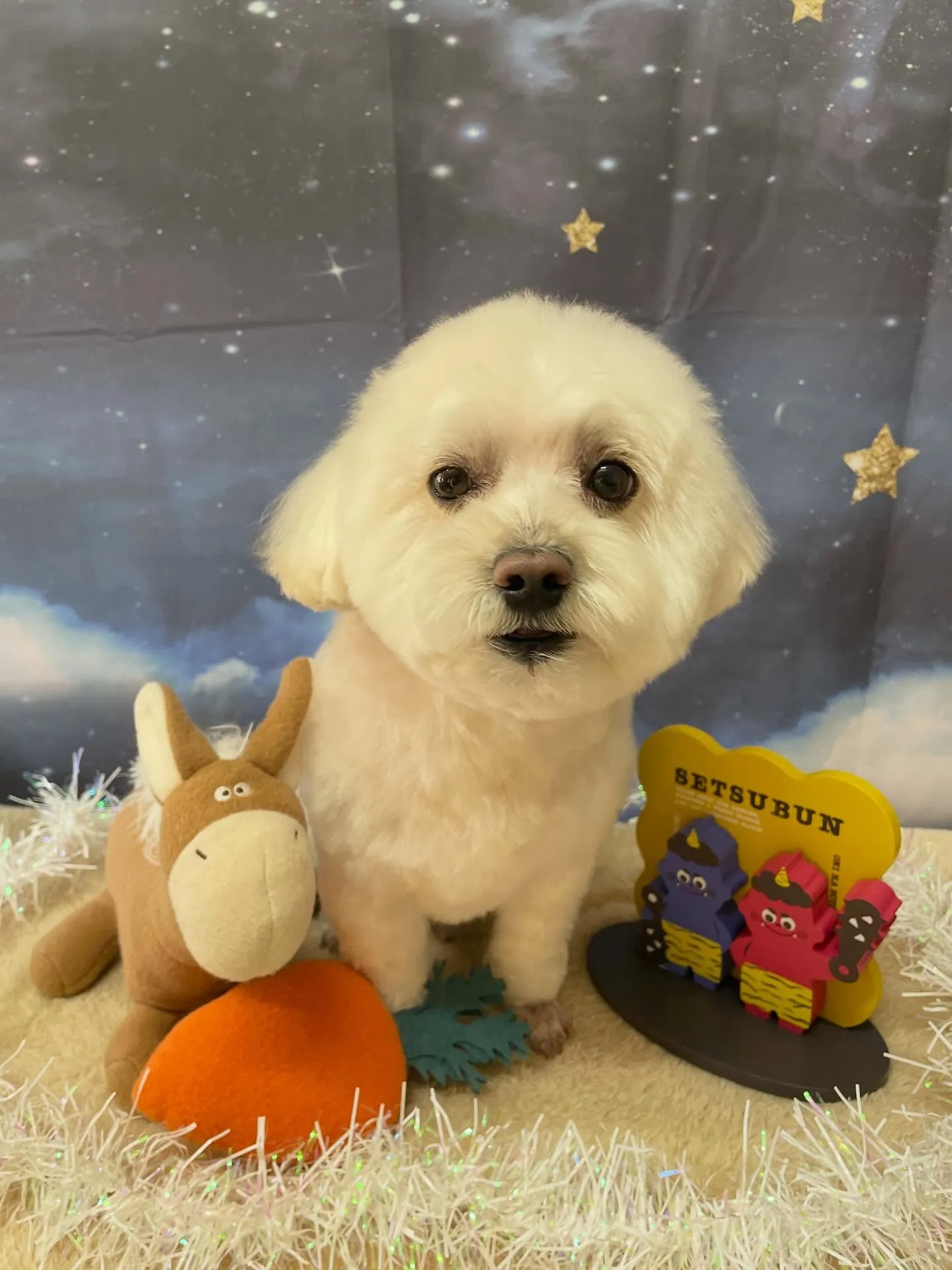 ð1/21ã®ããªãã³ã°ðããã¯ã¹ç¬ð¶ïœåæ±åºã»åçš®åºã»å®å±±åº...