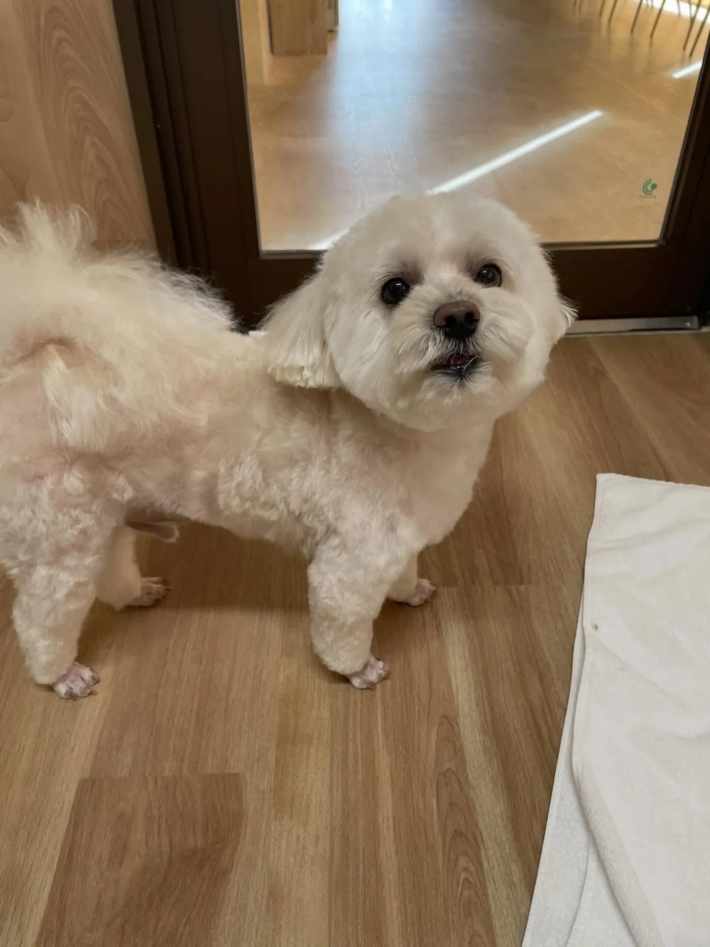 ð1/21ã®ããªãã³ã°ðããã¯ã¹ç¬ð¶ïœåæ±åºã»åçš®åºã»å®å±±åº...