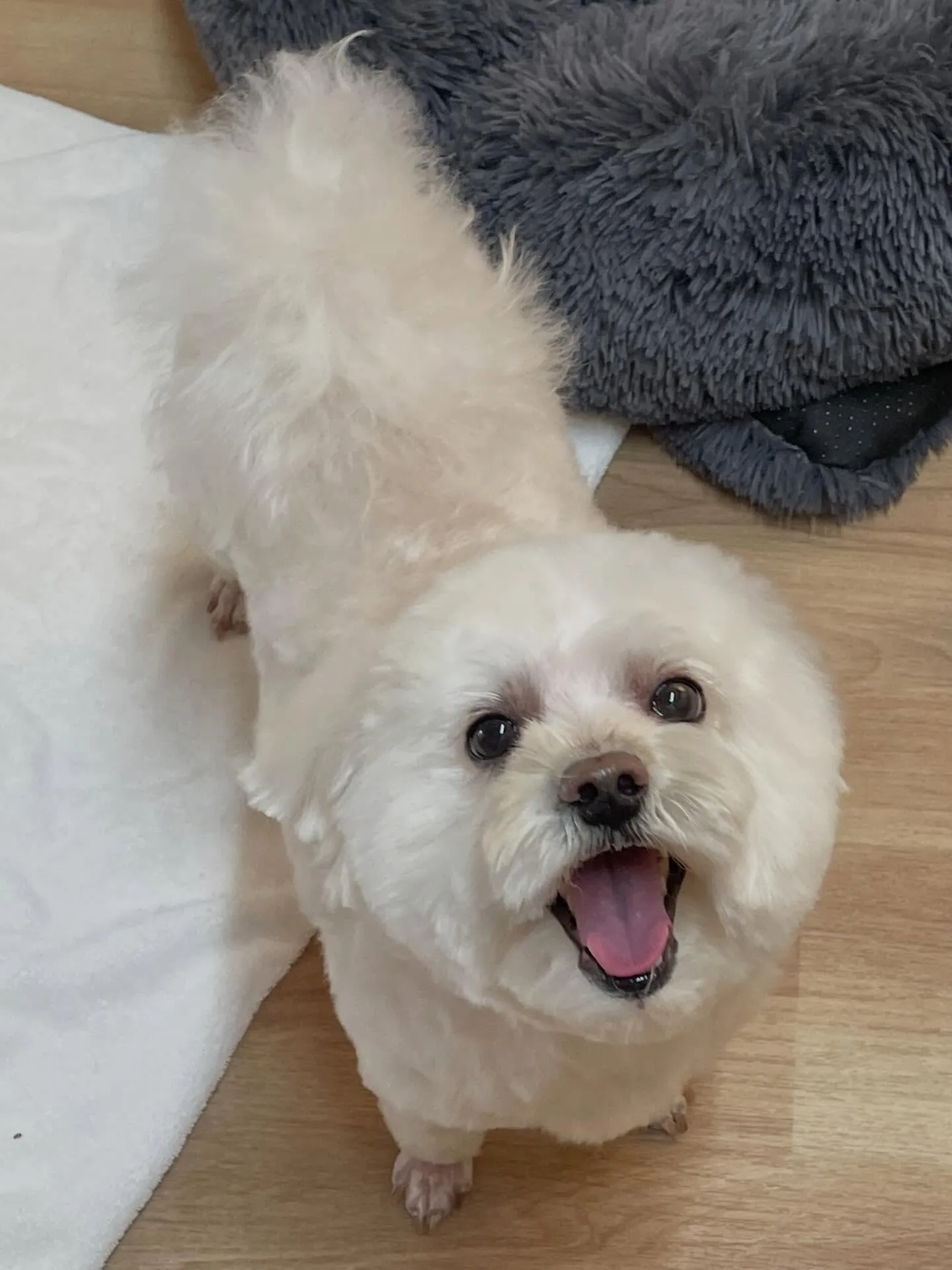 ð1/21ã®ããªãã³ã°ðããã¯ã¹ç¬ð¶ïœåæ±åºã»åçš®åºã»å®å±±åº...