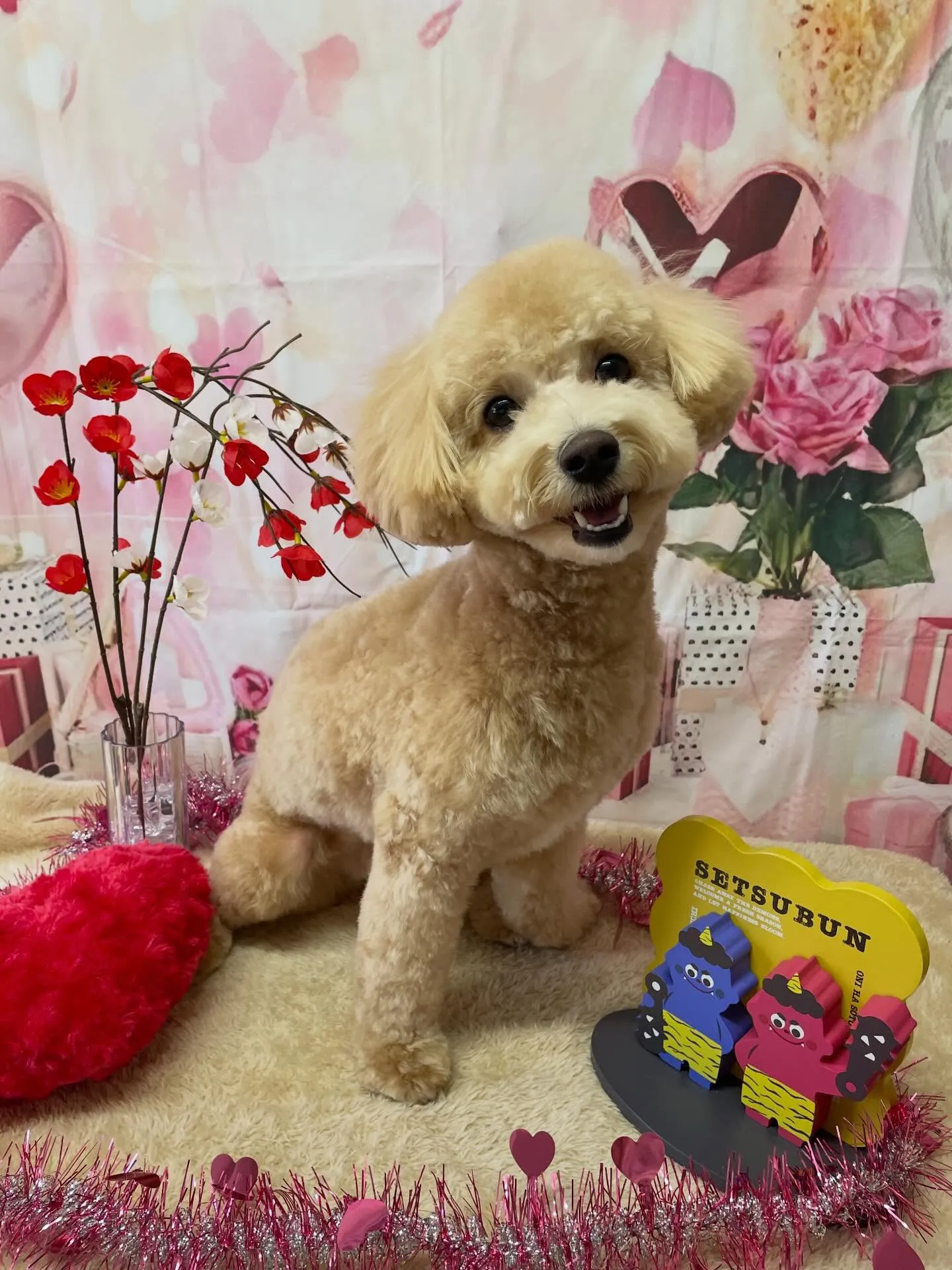 🍃2/1のトリミング🍃ミックス犬🐶|名東区・千種区・守山区の...