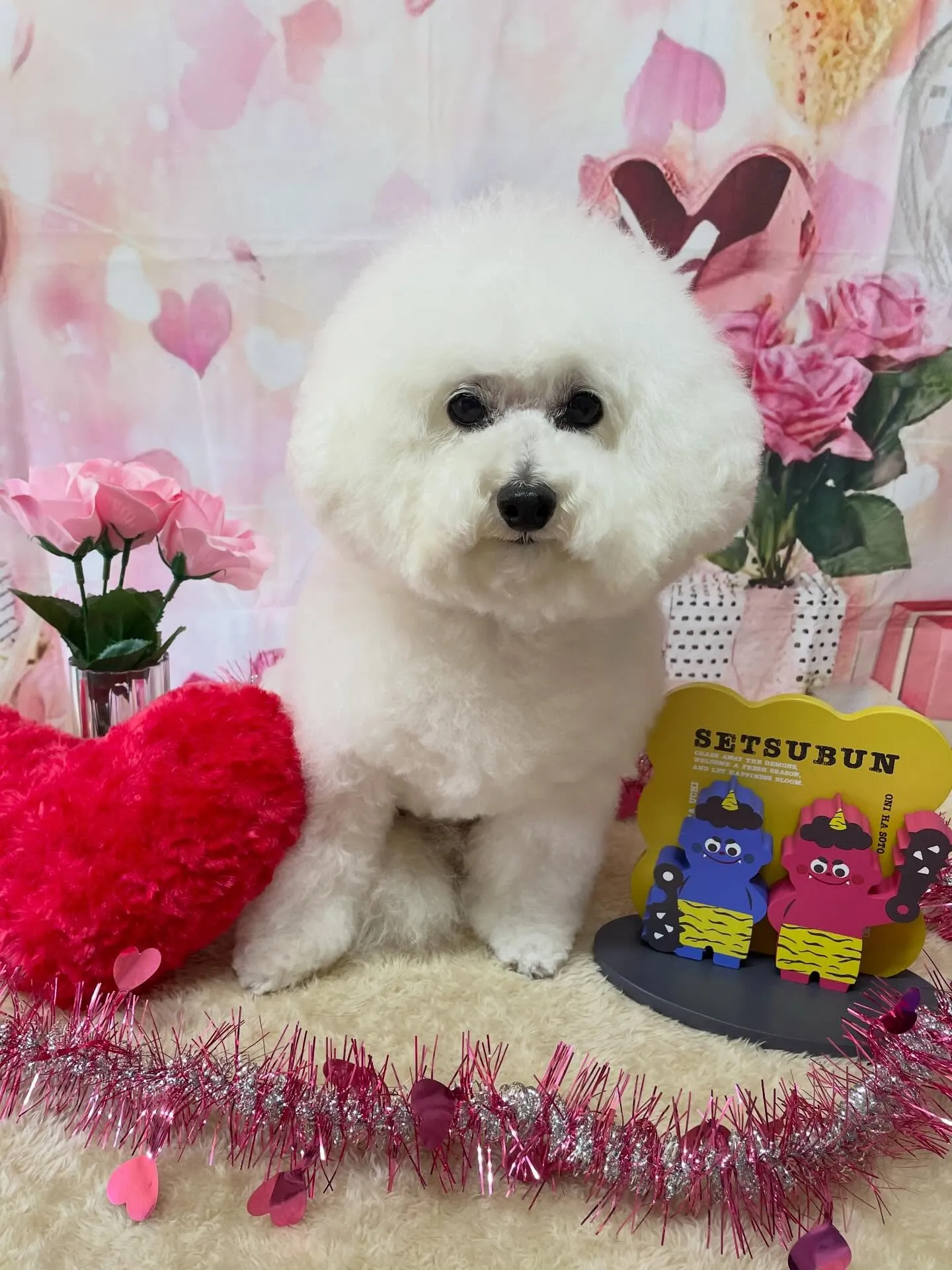 🍃2/7のトリミング🍃プードル🐶｜名東区・千種区・守山区の動...