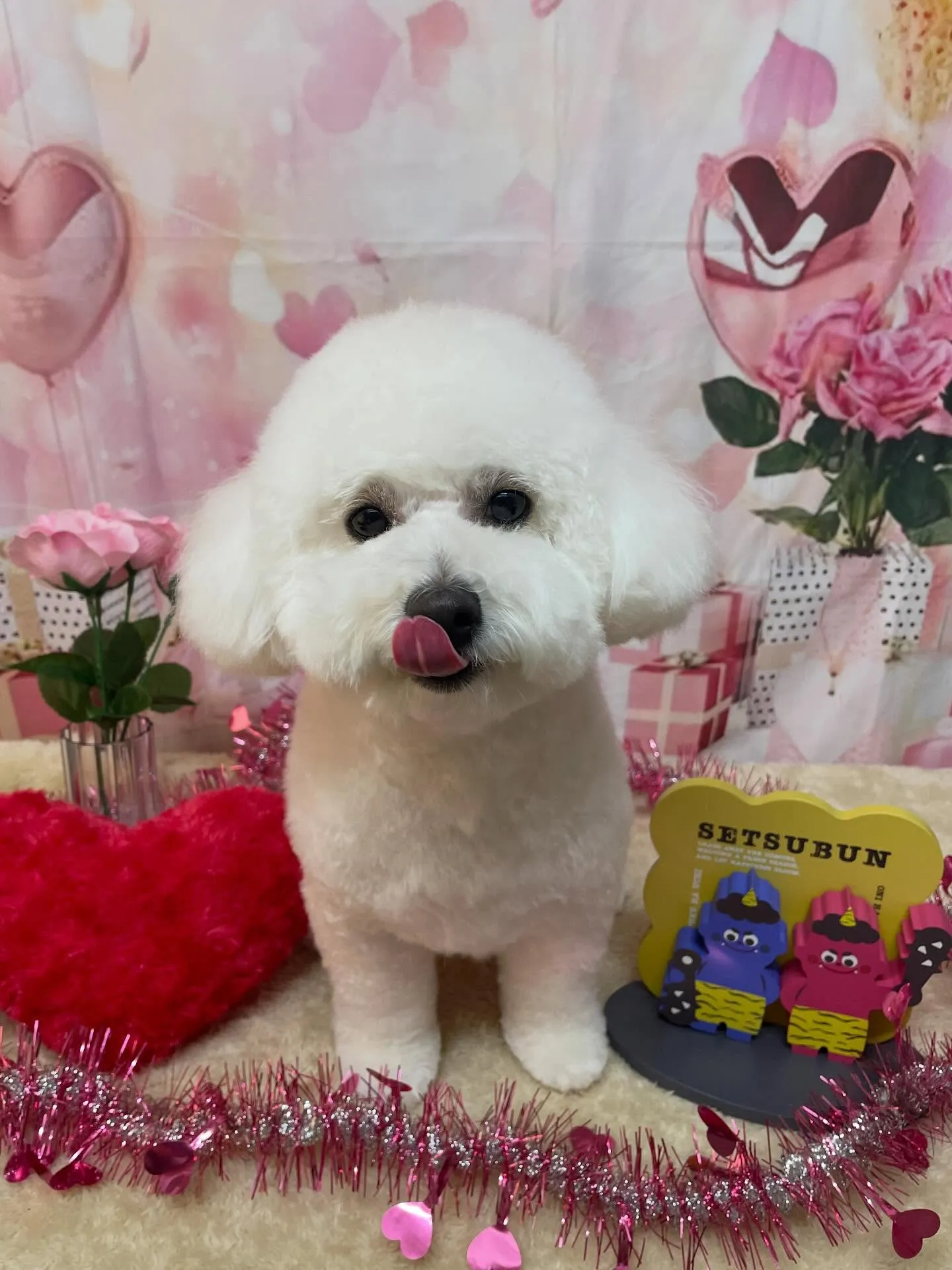 🍃2/14のトリミング🍃ミックス犬🐶｜名東区・千種区・守山区...