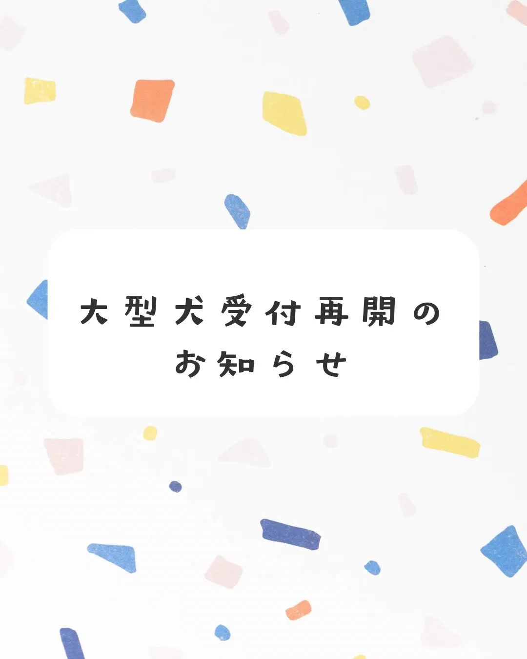 🍃大型犬受付再開のお知らせ🍃