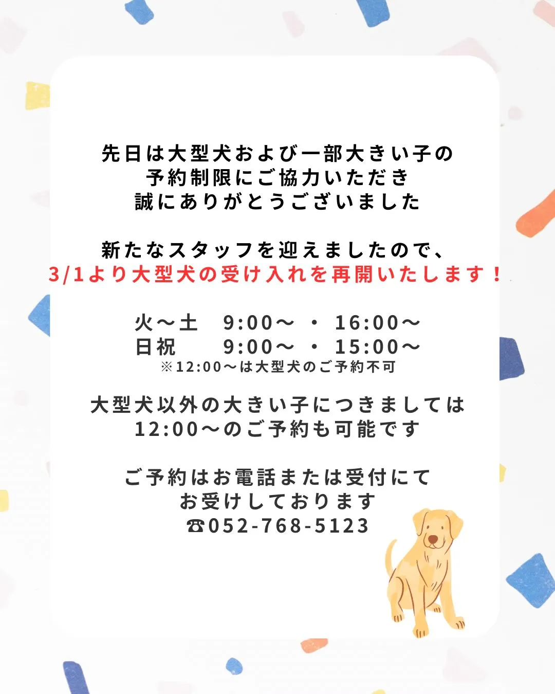 🍃大型犬受付再開のお知らせ🍃