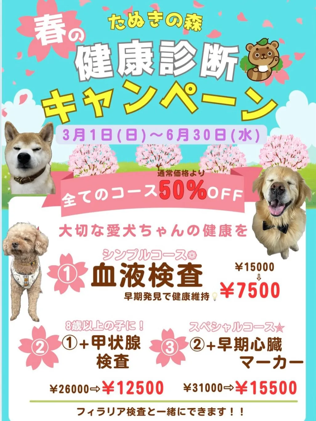 🍃キャンペーンのお知らせ🍃