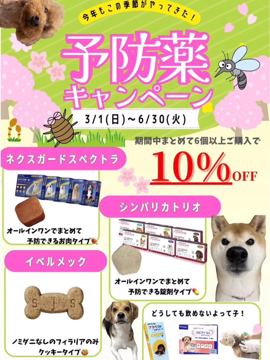 🍃キャンペーンのお知らせ🍃