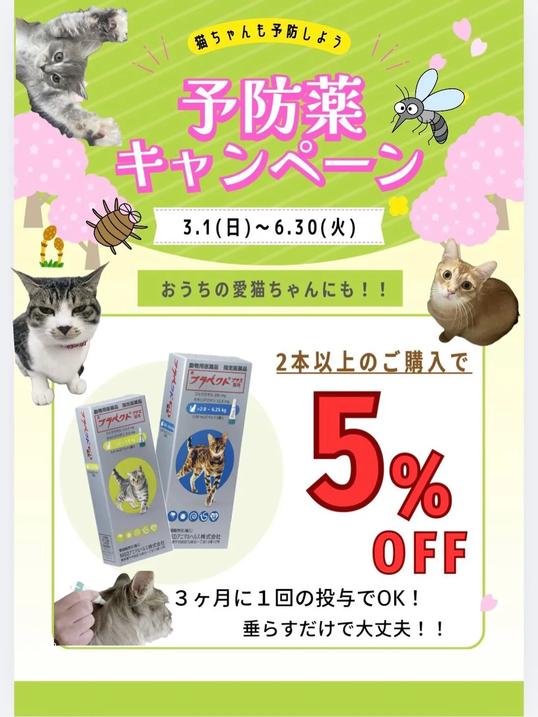 🍃キャンペーンのお知らせ🍃