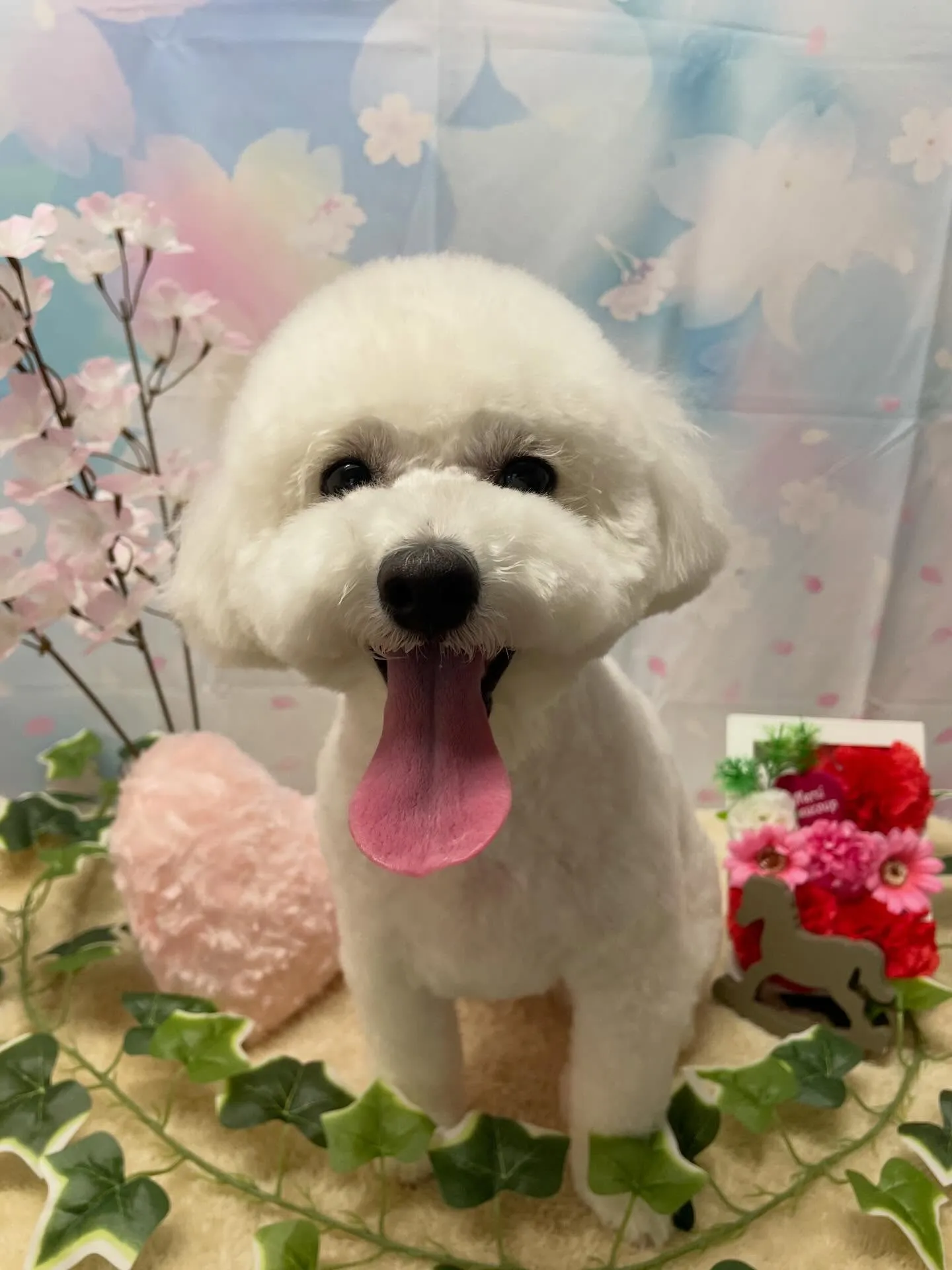 🍃3/14のトリミング🍃ミックス犬🐶｜名東区・千種区・守山区...