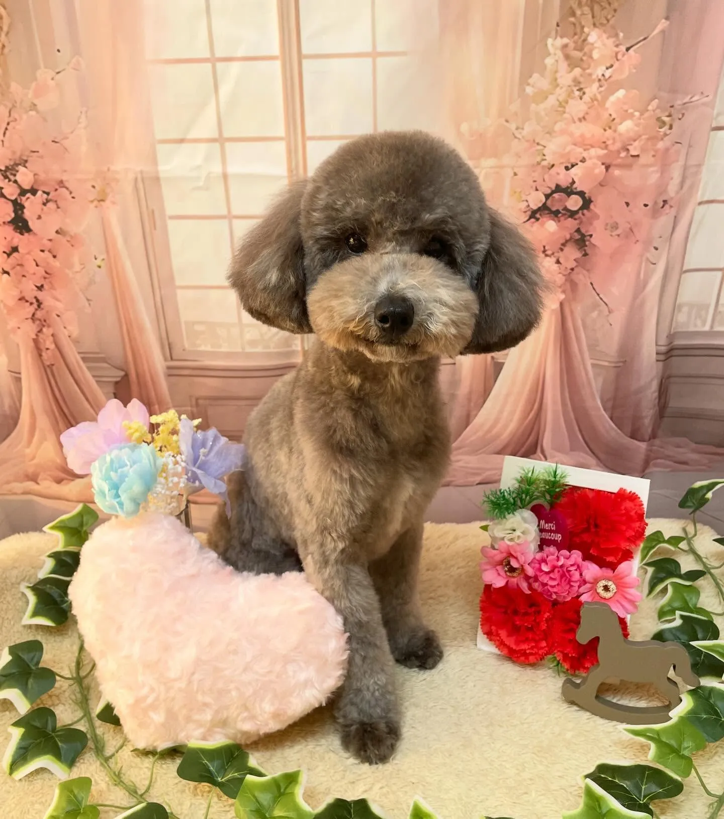 🍃3/21のトリミング🍃プードル🐶｜名東区・千種区・守山区の...