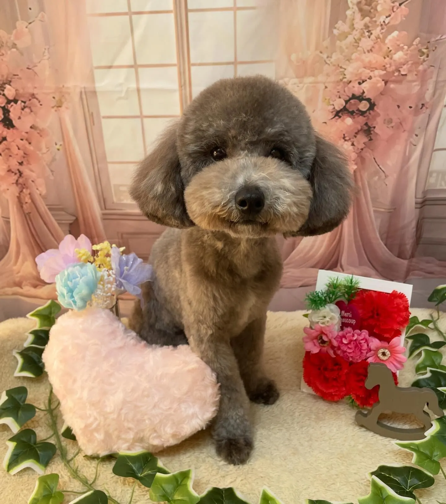 🍃3/21のトリミング🍃プードル🐶｜名東区・千種区・守山区の...