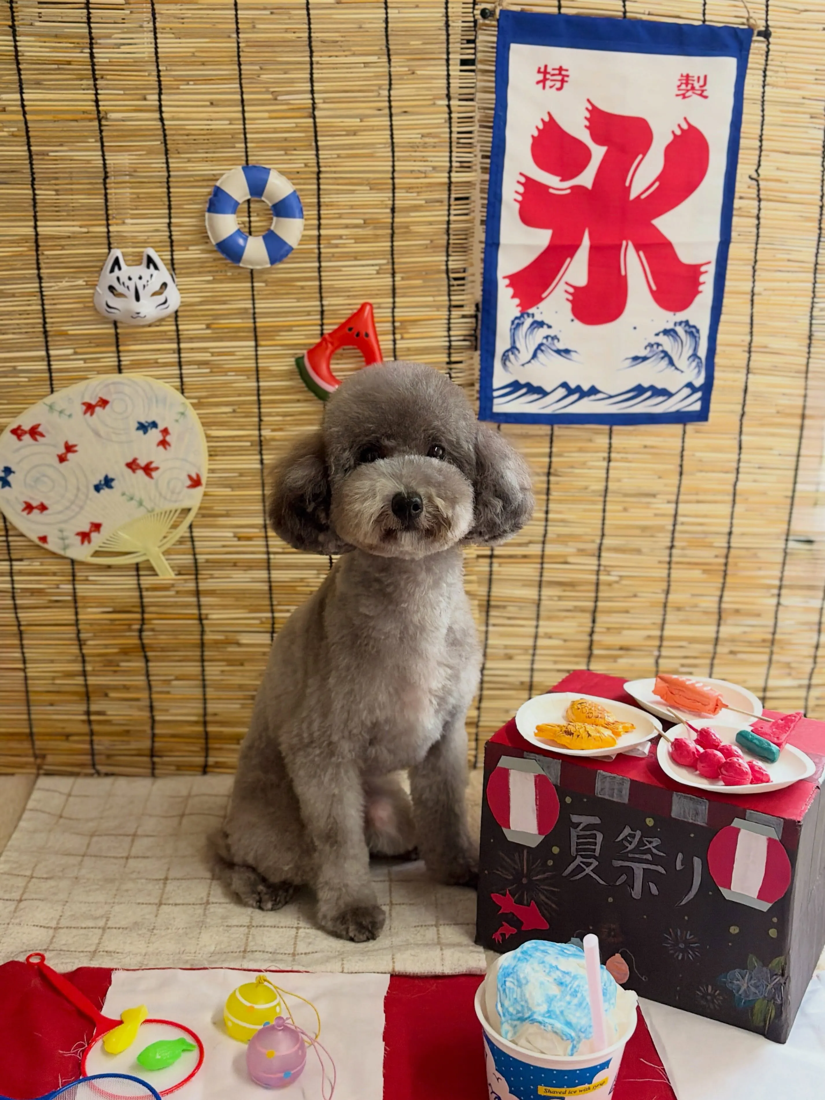 🍃8/1のトリミング🍃プードル🐶｜名東区・千種区・守山区の動...