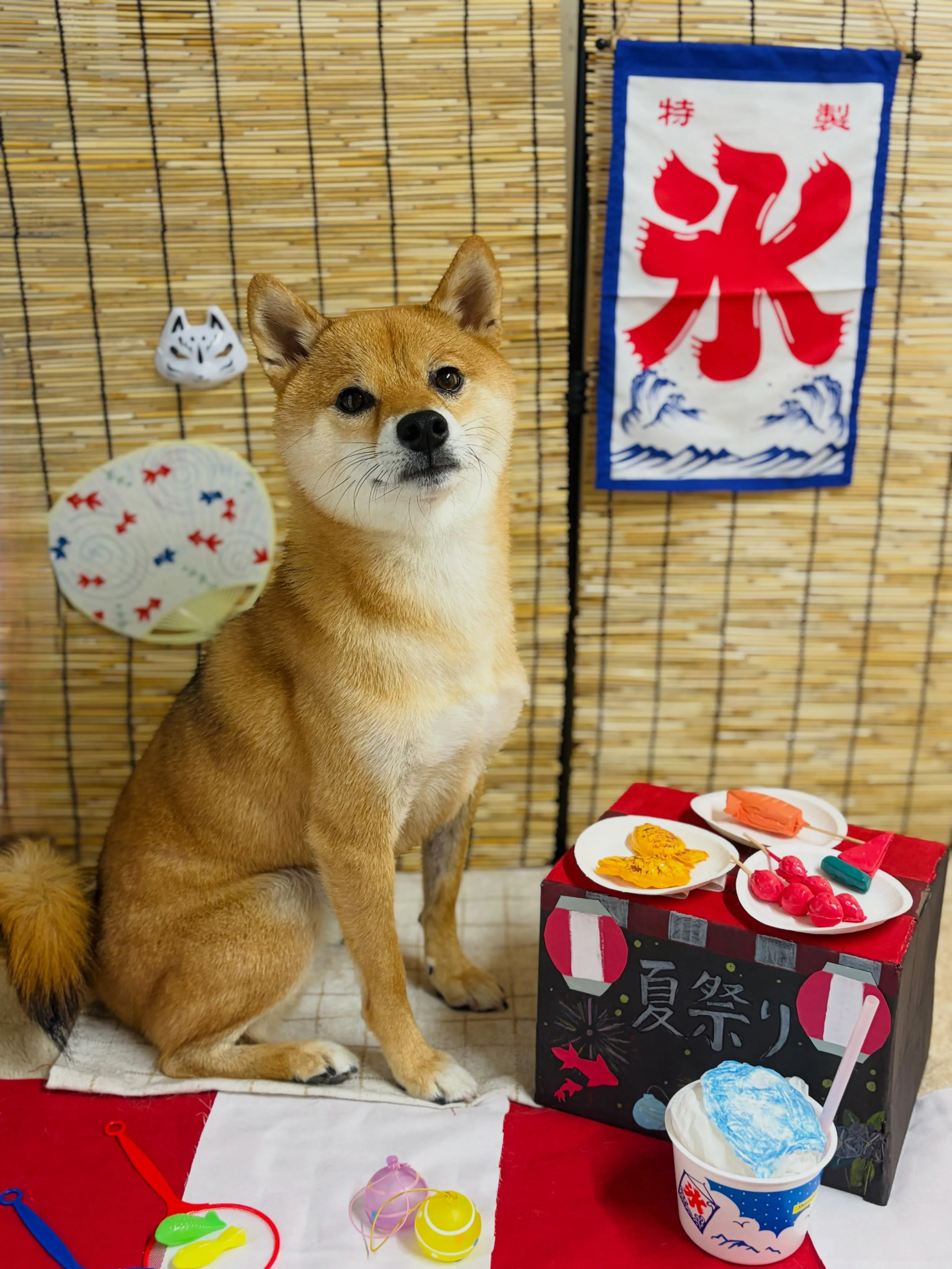 🍃8/1のトリミング🍃柴犬🐶｜名東区・千種区・守山区の動物病...