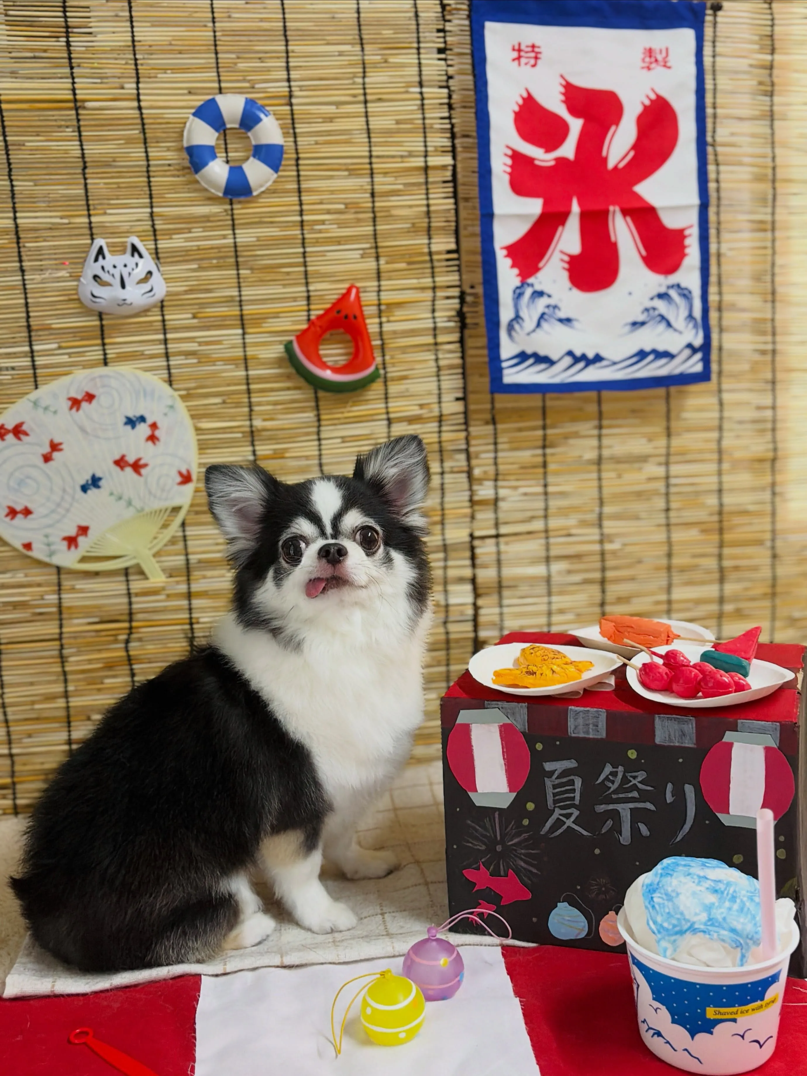 🍃8/1のトリミング🍃チワワ🐶｜名東区・千種区・守山区の動物...