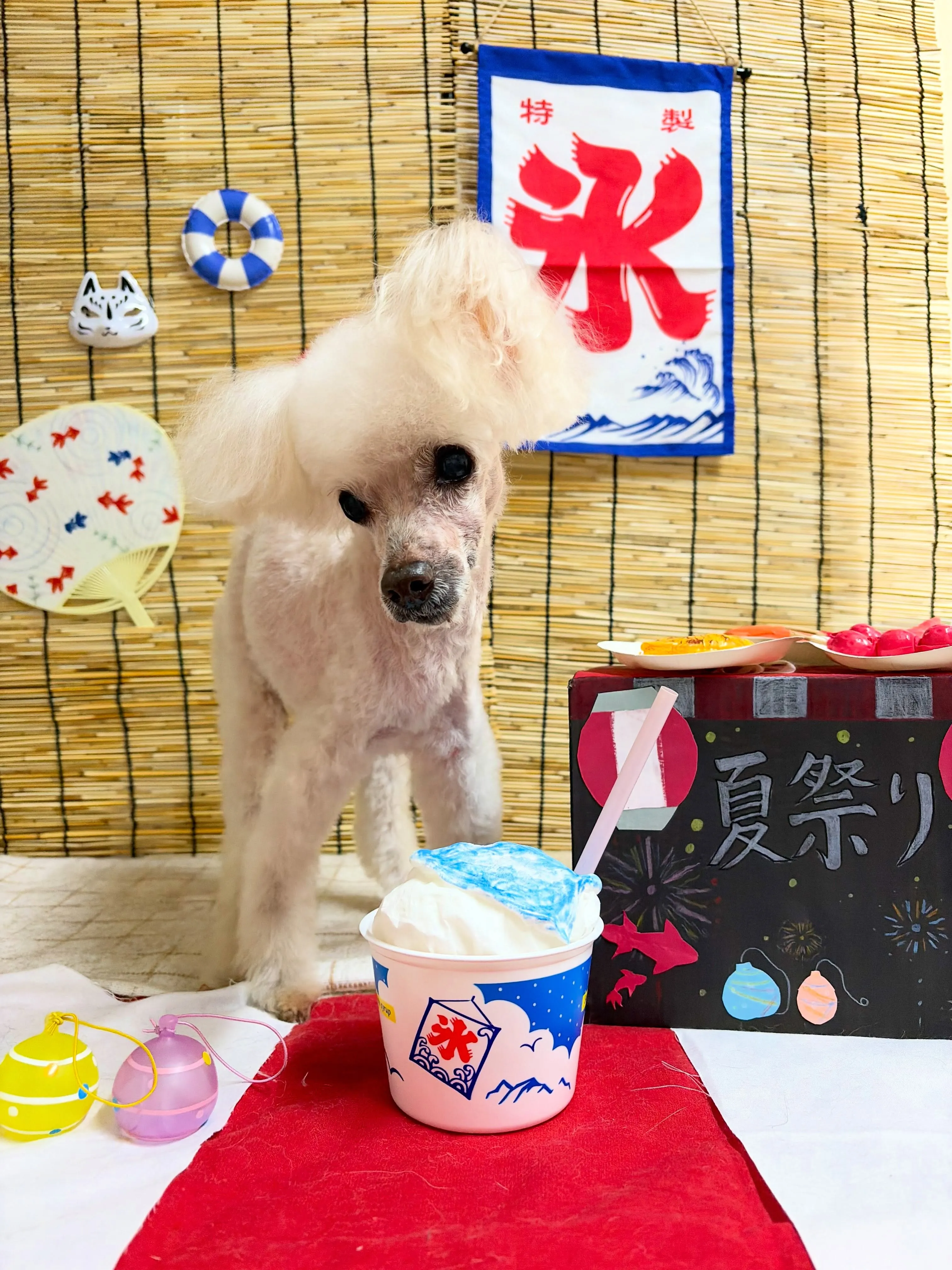 🍃8/1のトリミング🍃プードル🐶｜名東区・千種区・守山区の動...