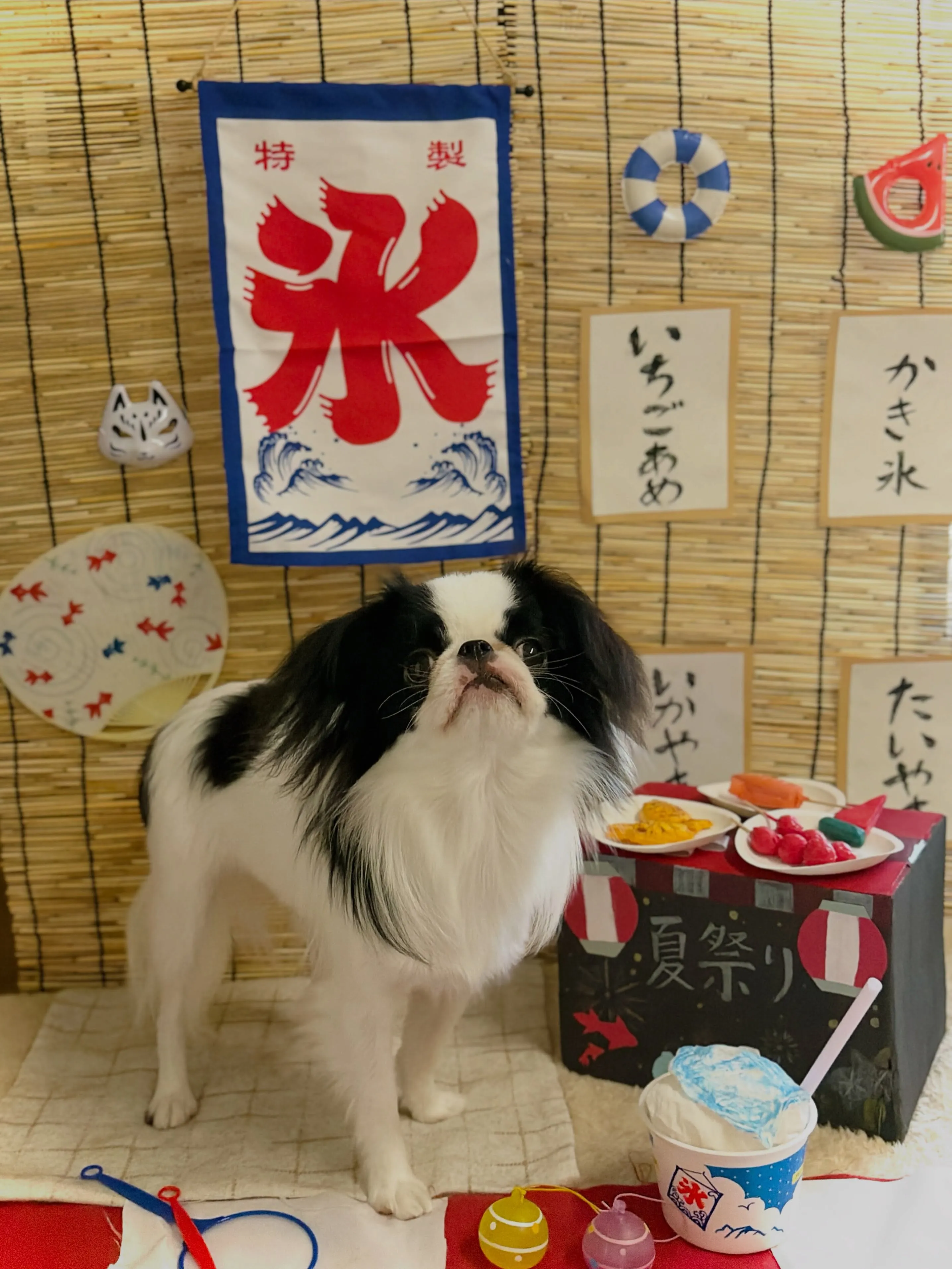 🍃8/2のトリミング🍃狆🐶｜名東区・千種区・守山区の動物病院...
