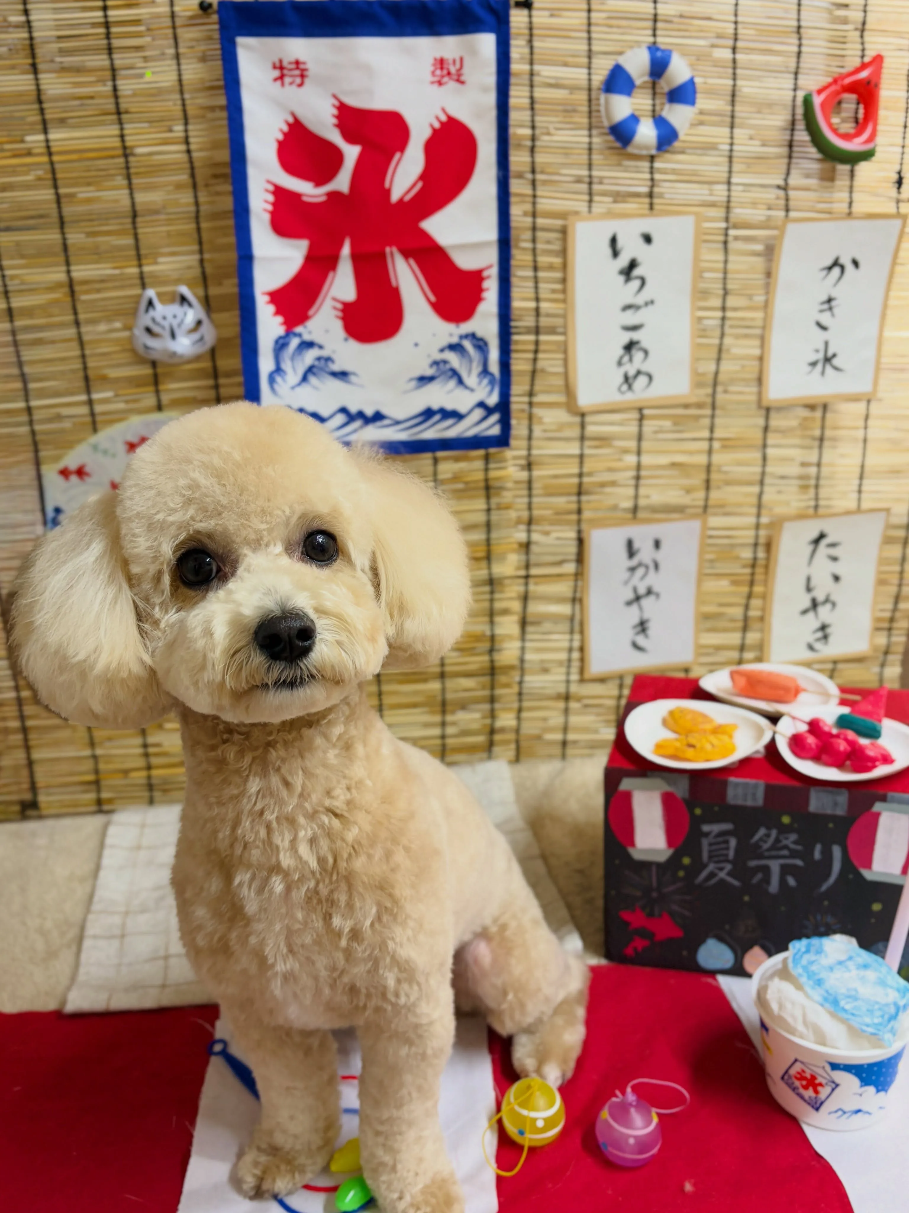 🍃8/2のトリミング🍃ミックス犬🐶｜名東区・千種区・守山区の...