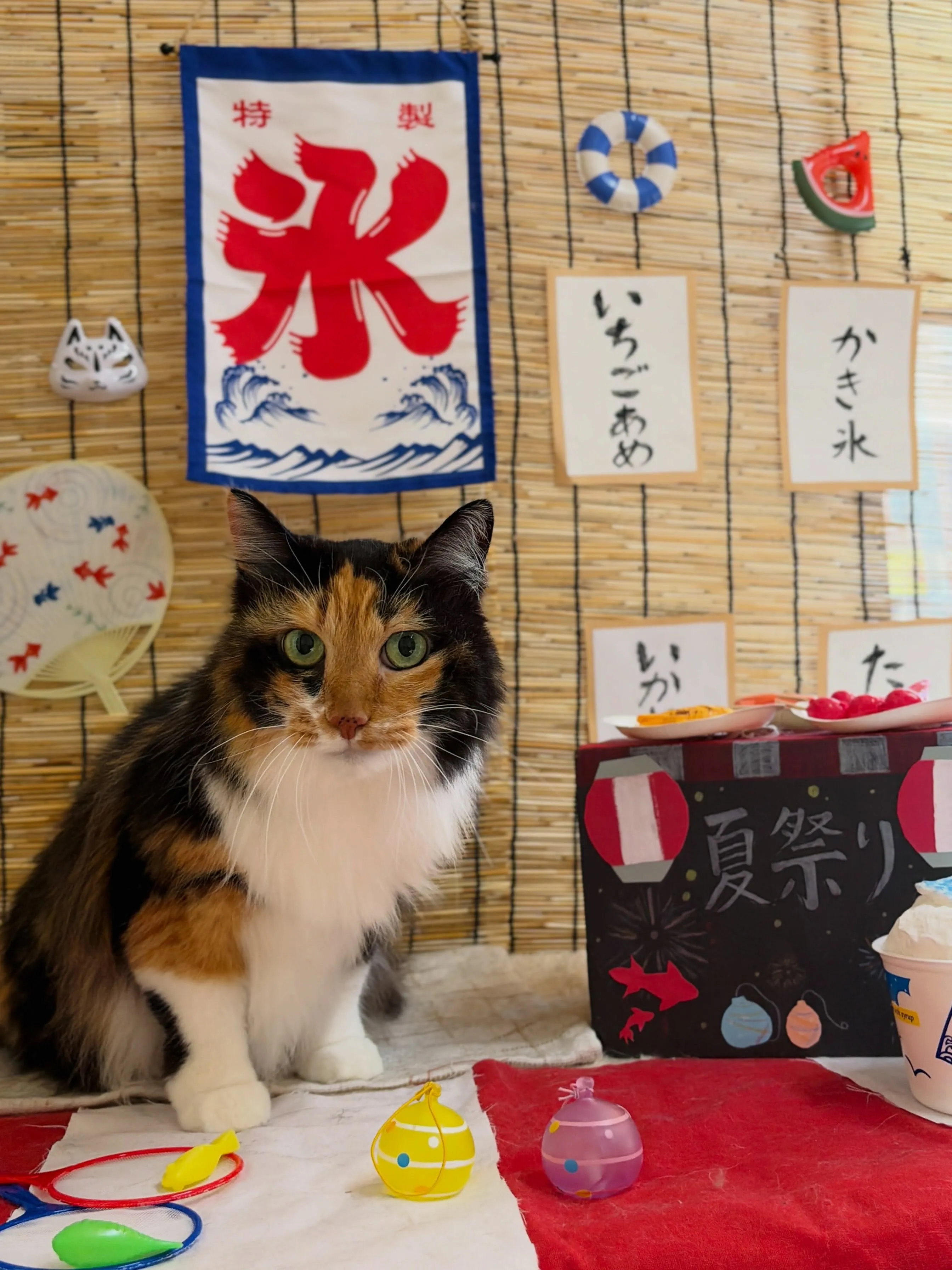 🍃8/2のトリミング🍃MIX🐱｜名東区・千種区・守山区の動物...