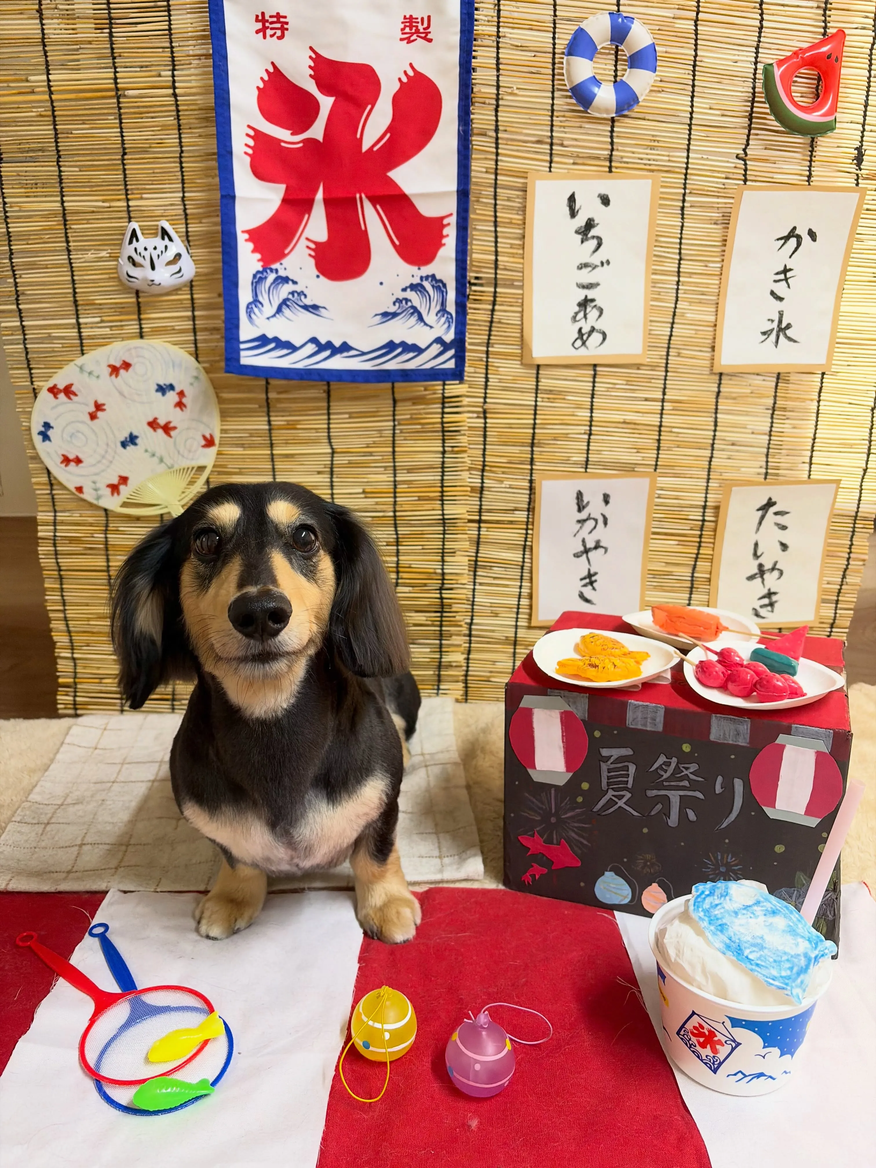 🍃8/2のトリミング🍃ダックス🐶｜名東区・千種区・守山区の動...