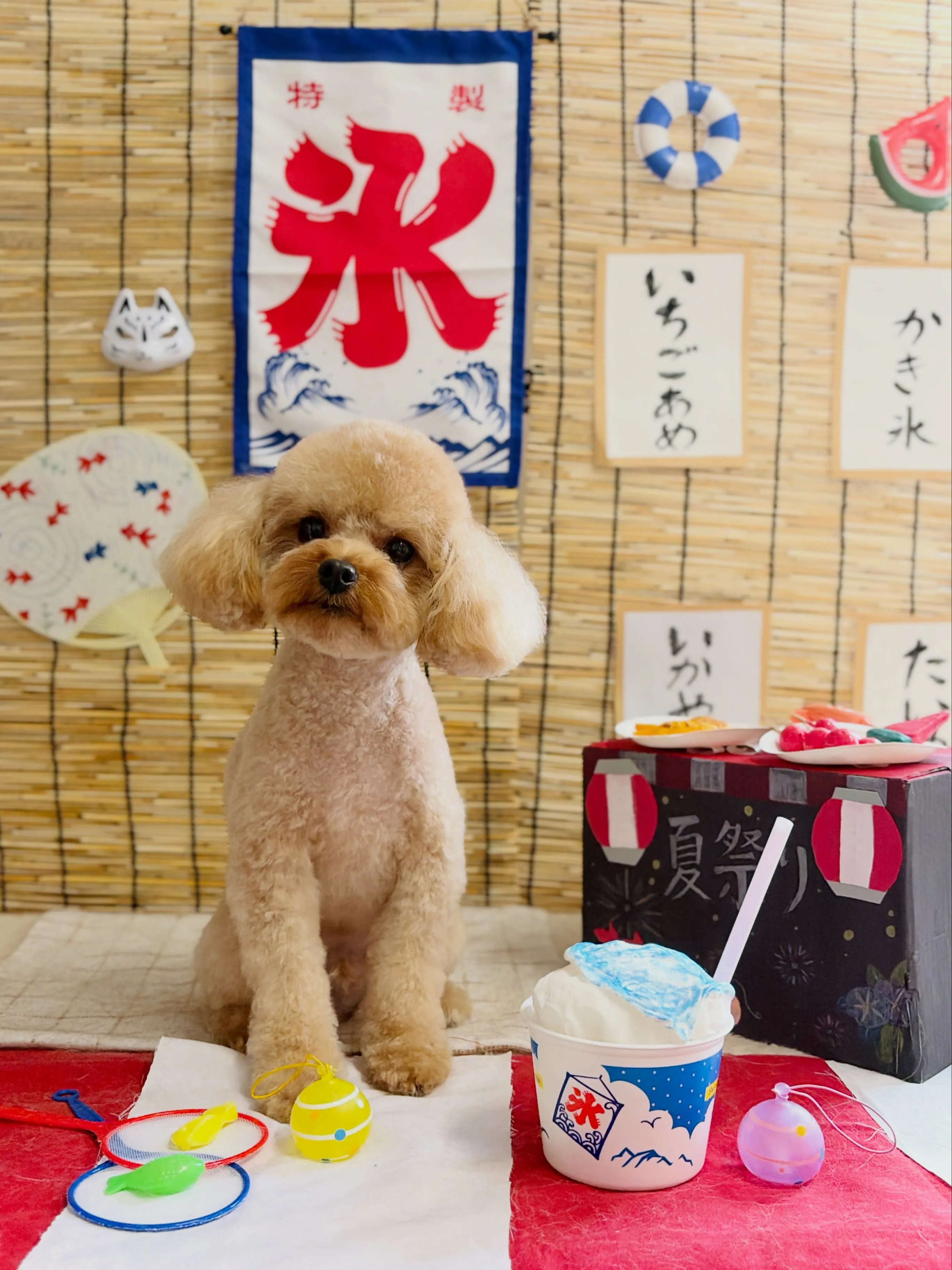 🍃8/3のトリミング🍃プードル🐶｜名東区・千種区・守山区の動...