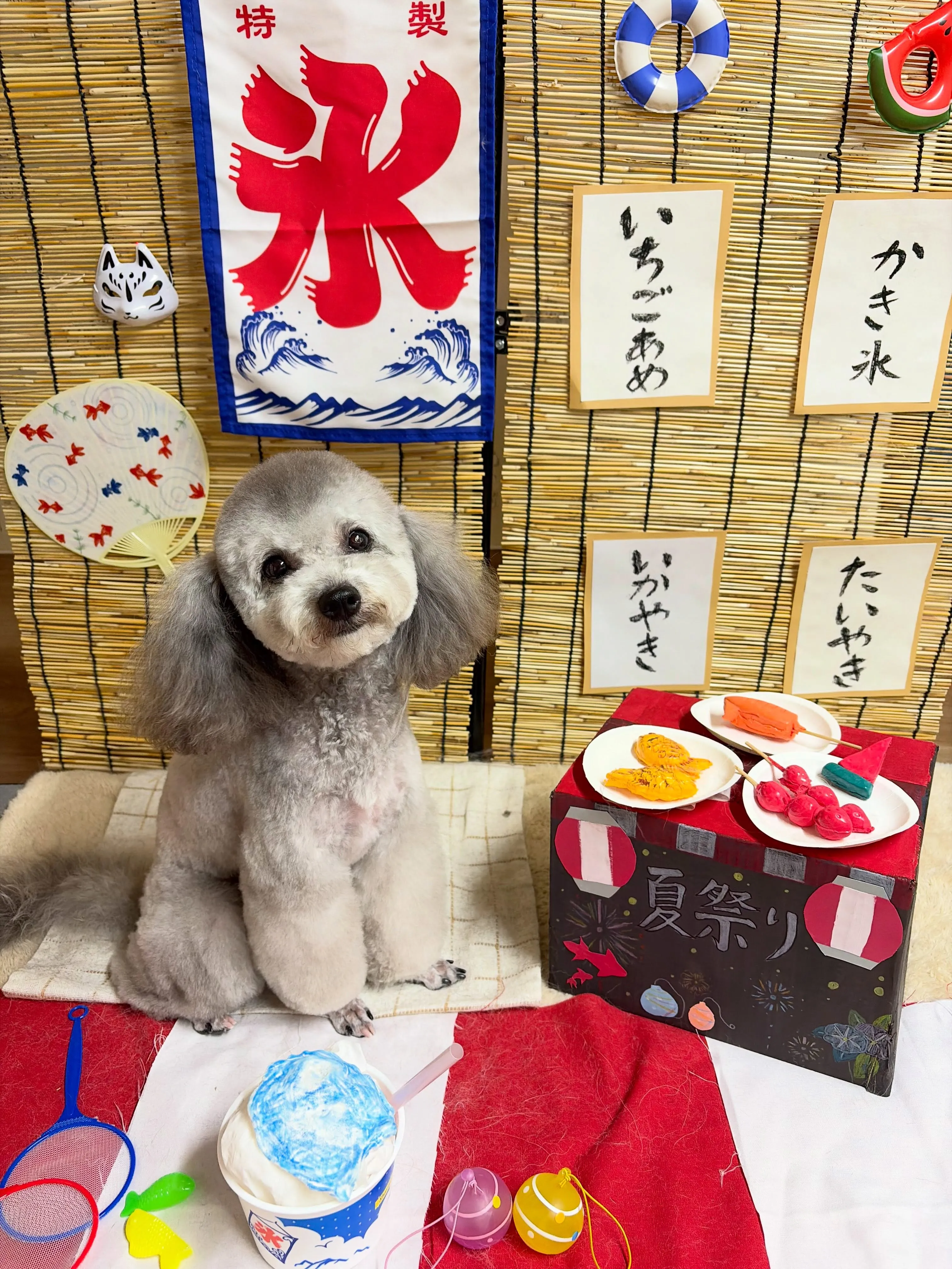 🍃8/4のトリミング🍃プードル🐶｜名東区・千種区・守山区の動...