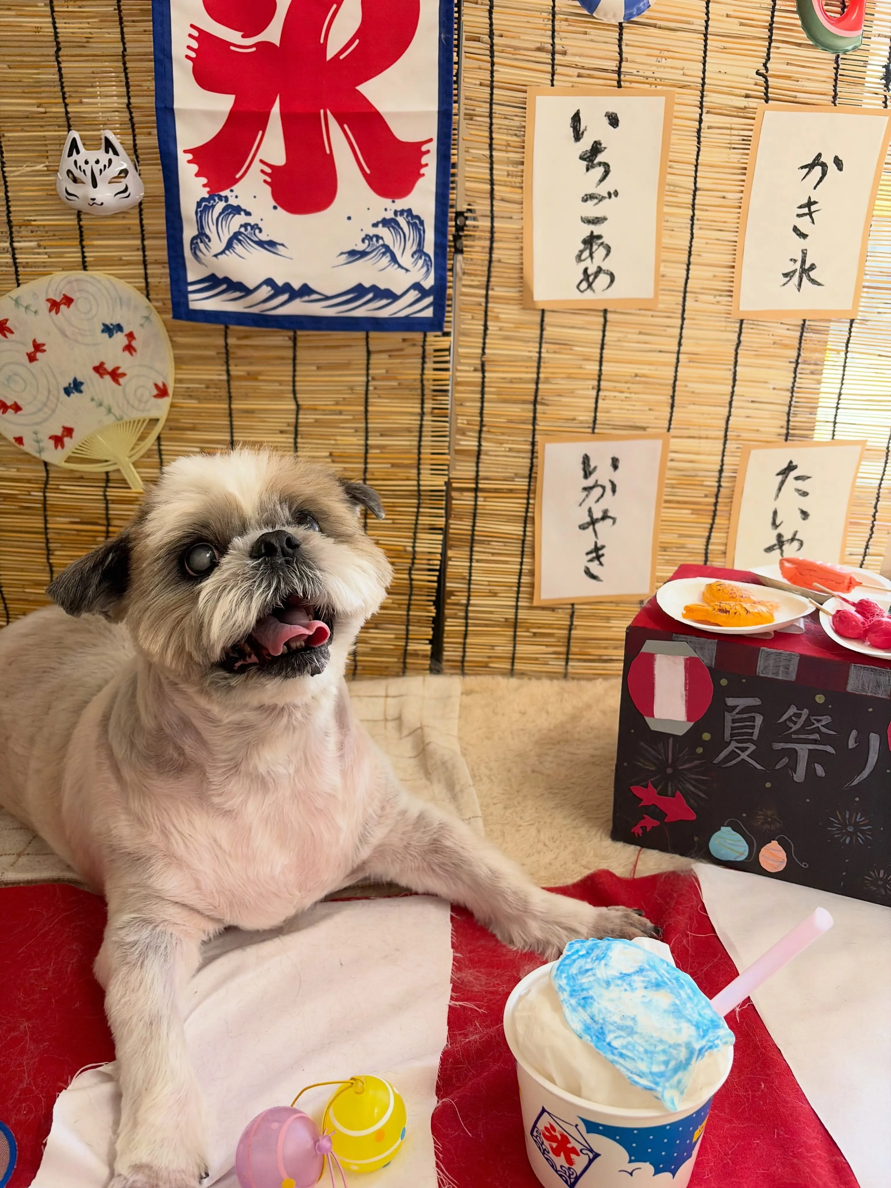 🍃8/5のトリミング🍃シーズー🐶｜名東区・千種区・守山区の動...