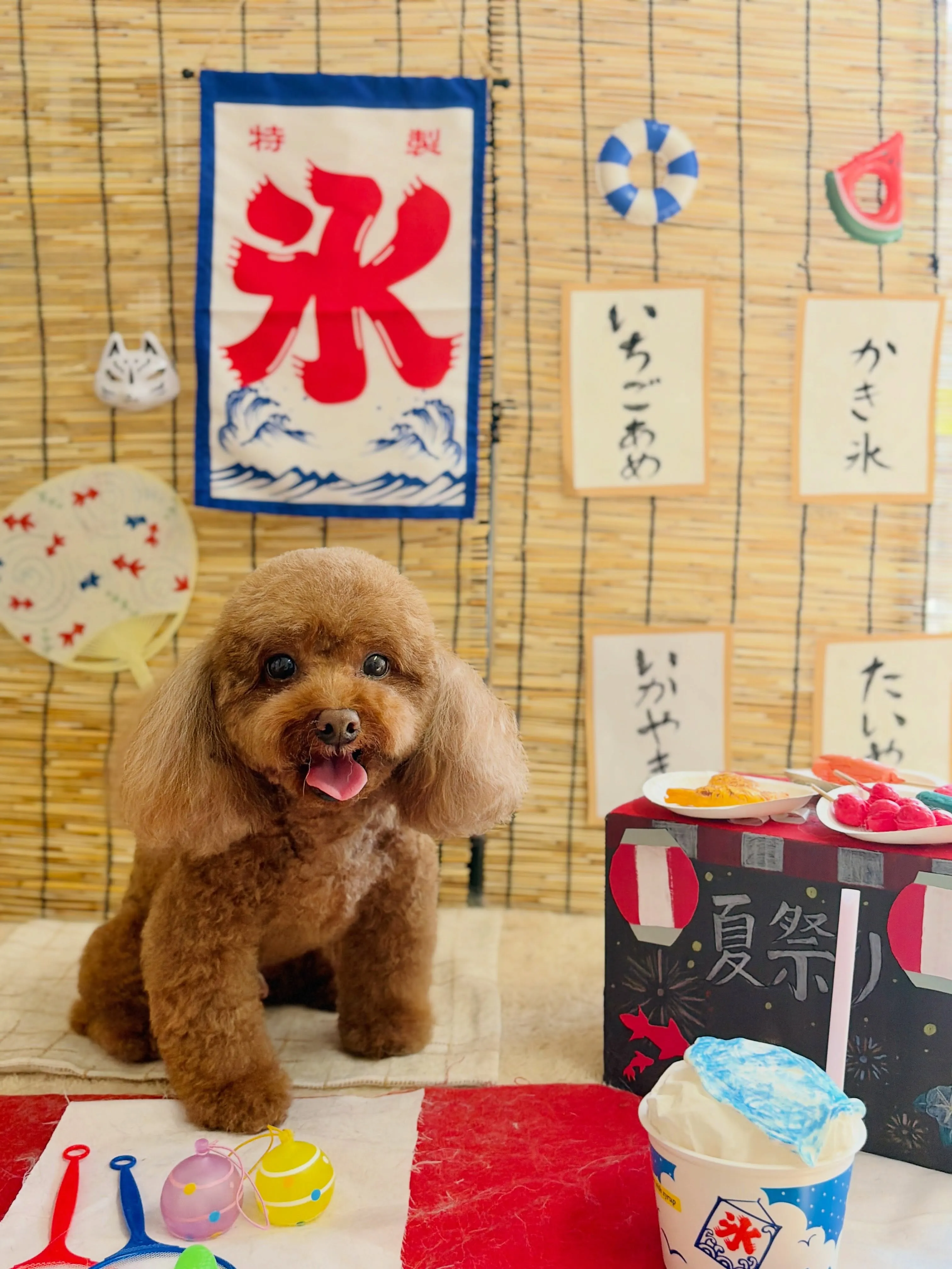 🍃8/6のトリミング🍃プードル🐶|名東区・千種区・守山区の動...