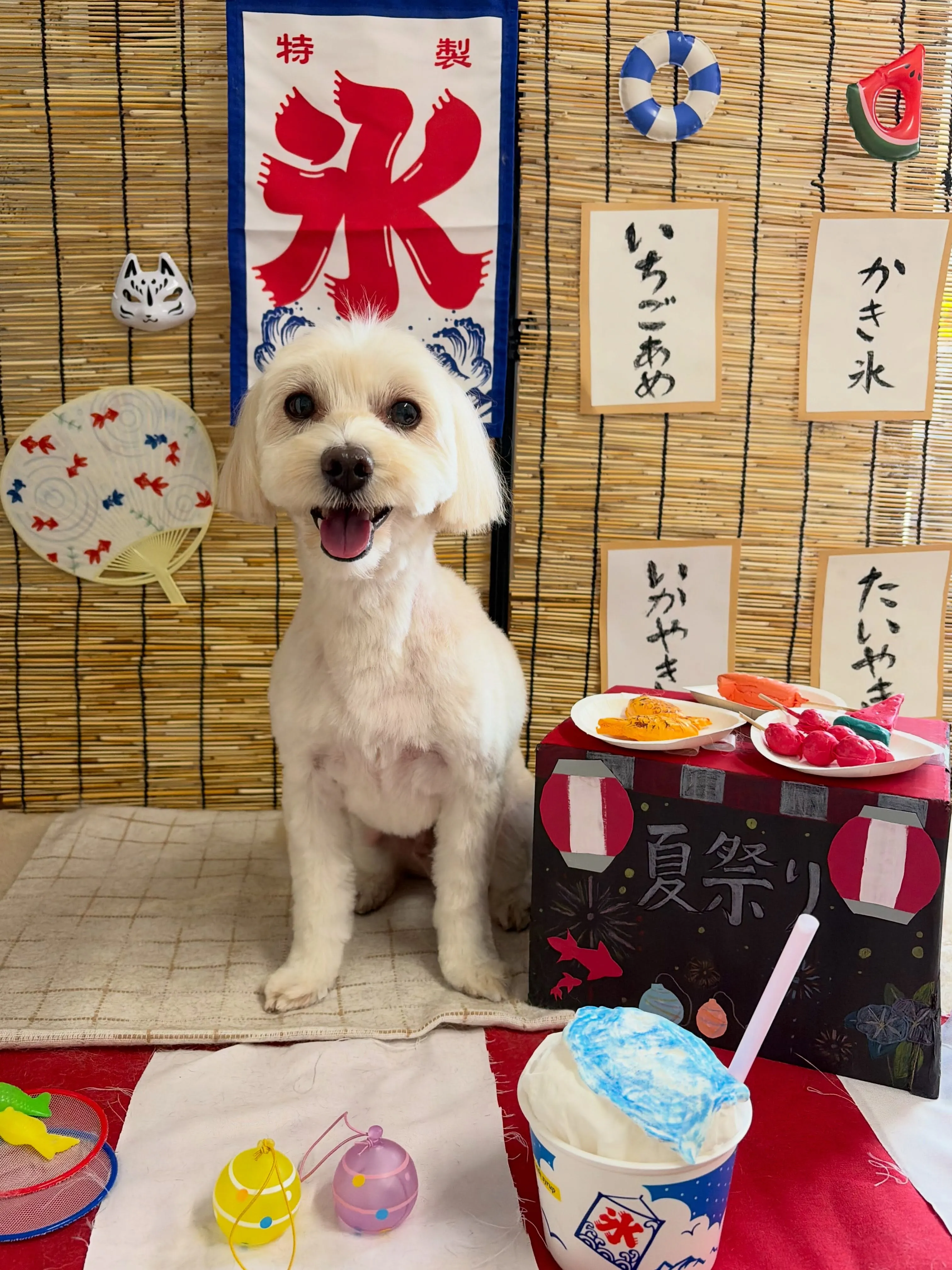 🍃8/7のトリミング🍃ミックス犬🐶|名東区・千種区・守山区の...