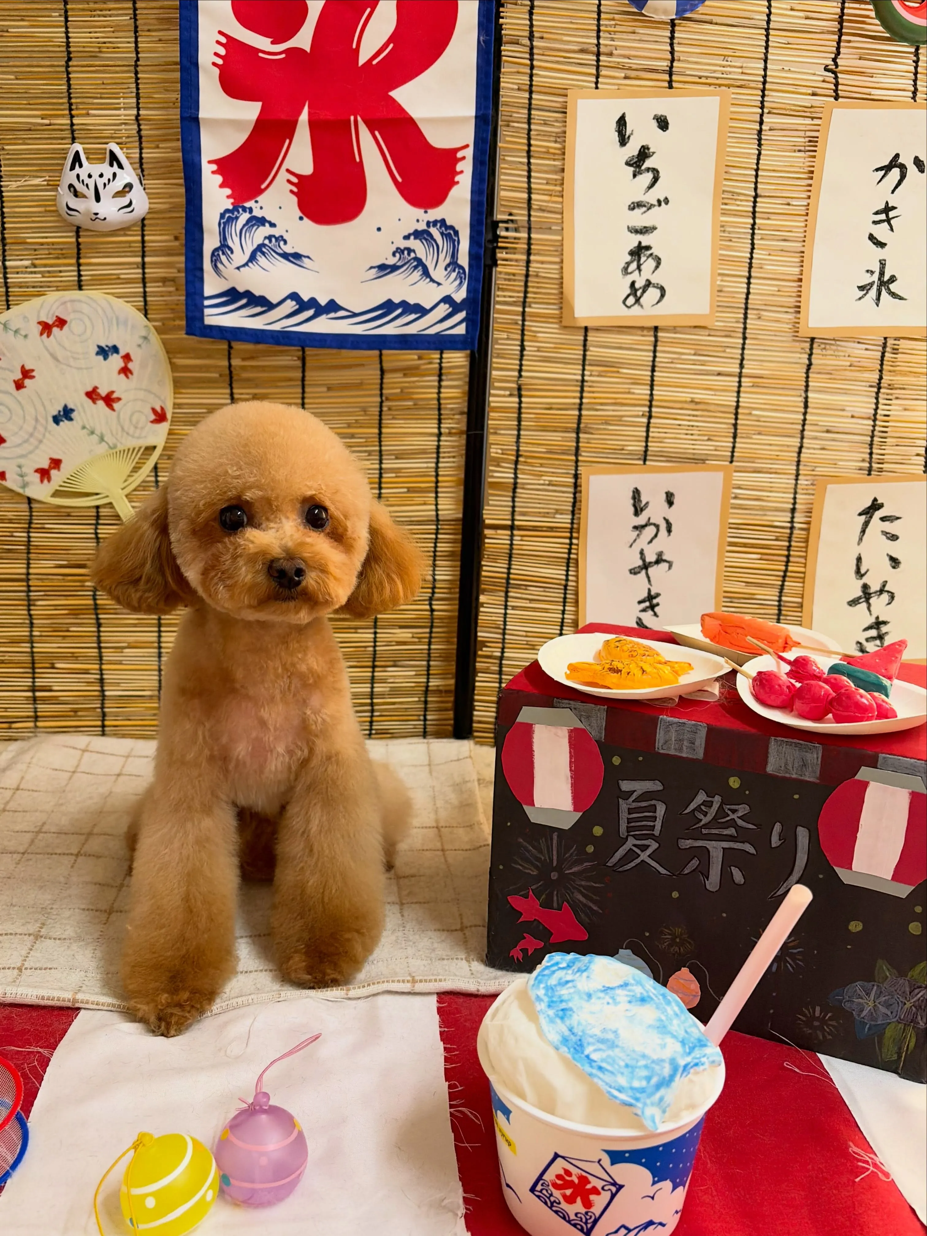 🍃8/7のトリミング🍃プードル🐶|名東区・千種区・守山区の動...