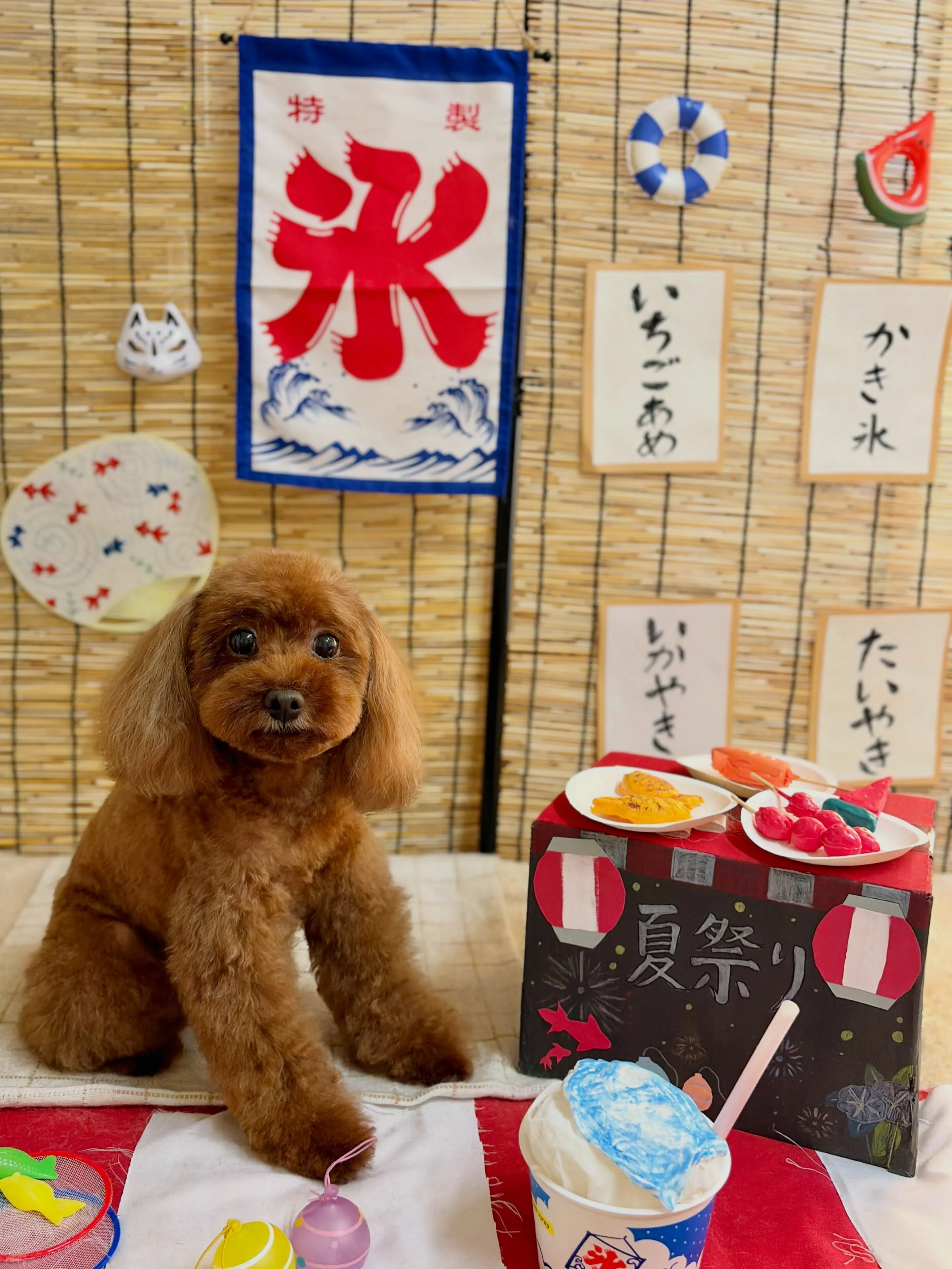 🍃8/7のトリミング🍃プードル🐶|名東区・千種区・守山区の動...