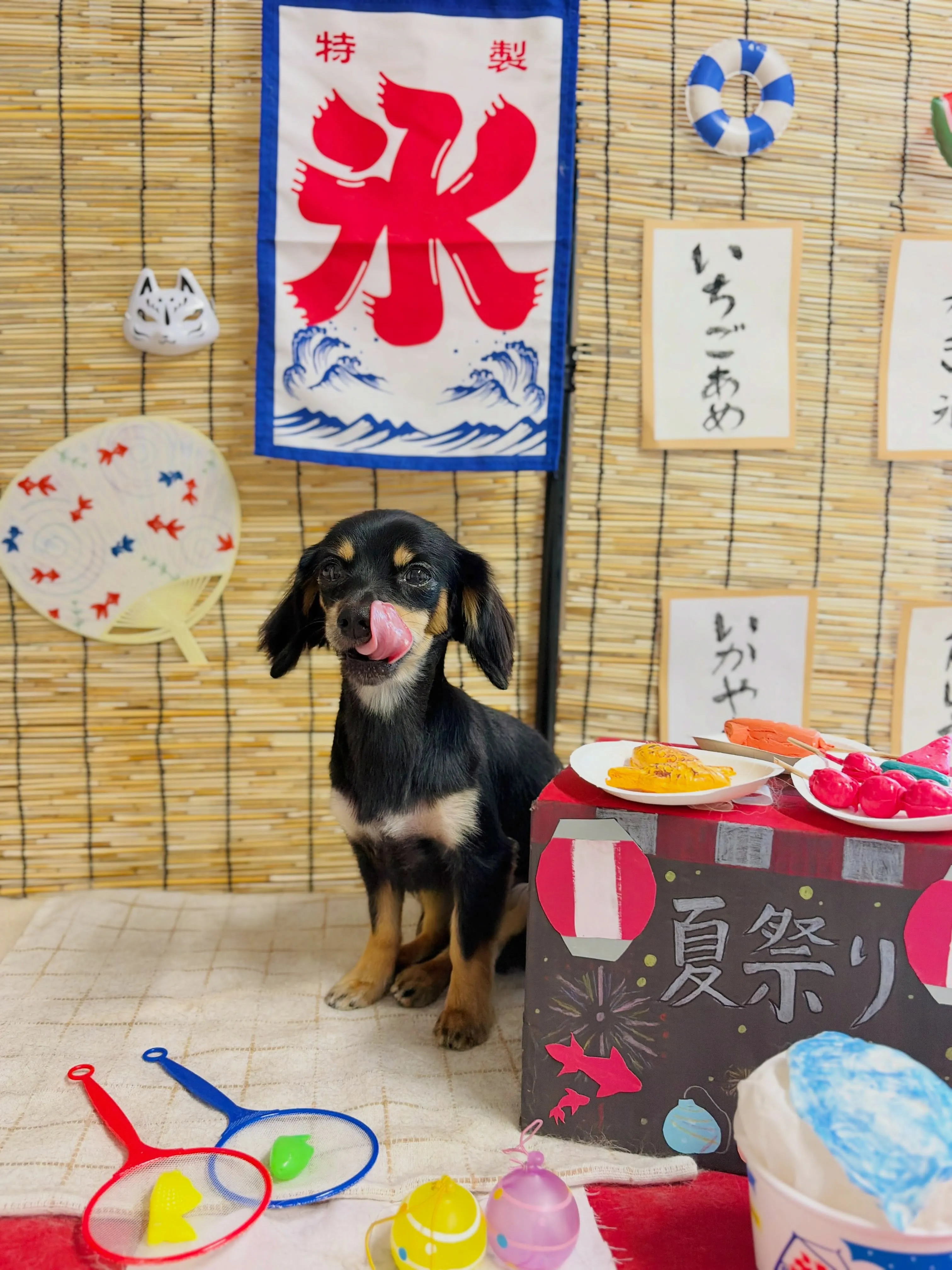 🍃8/7のトリミング🍃ミックス犬🐶|名東区・千種区・守山区の...