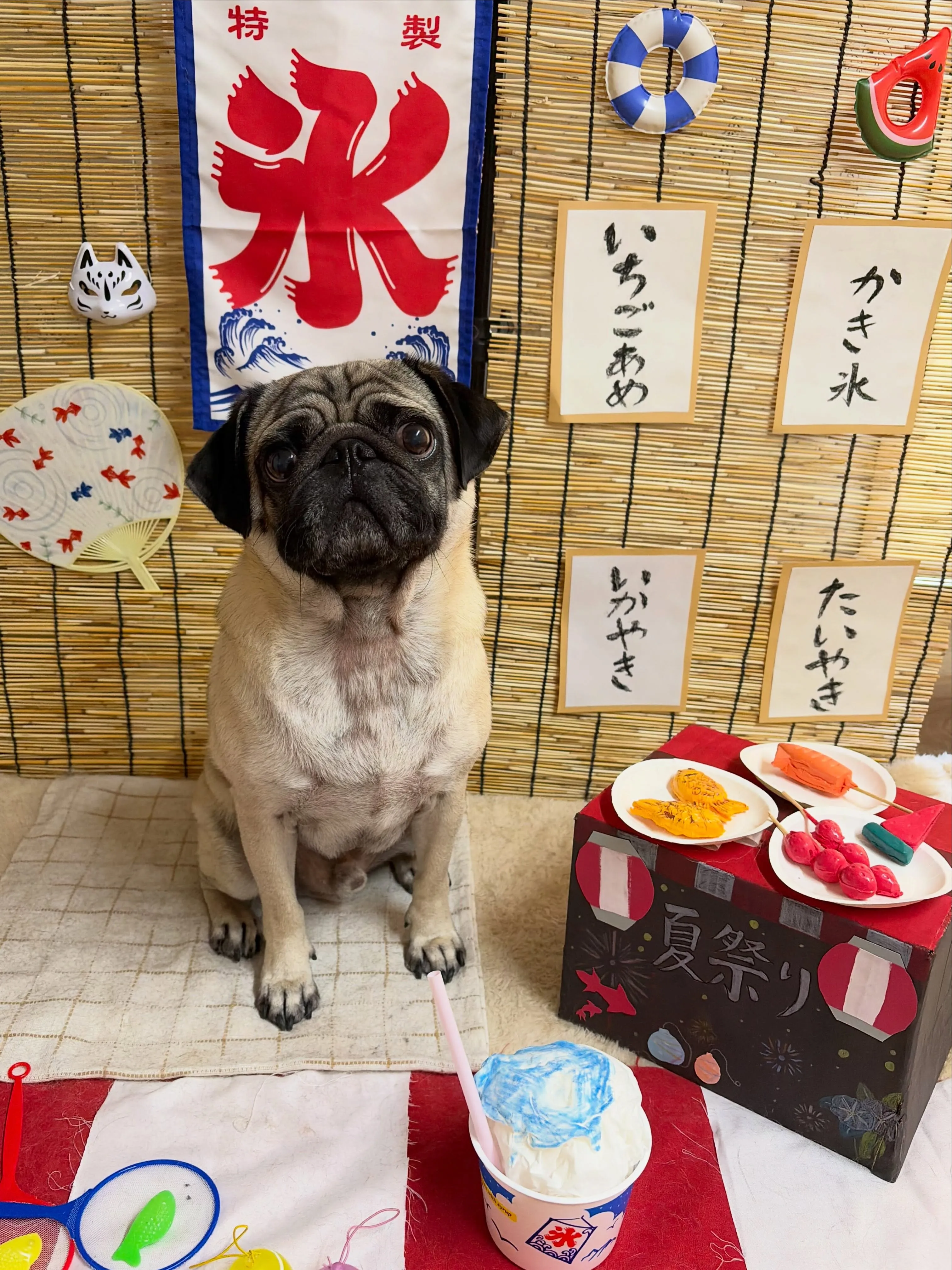 🍃8/8のトリミング🍃パグ🐶｜名東区・千種区・守山区の動物病...