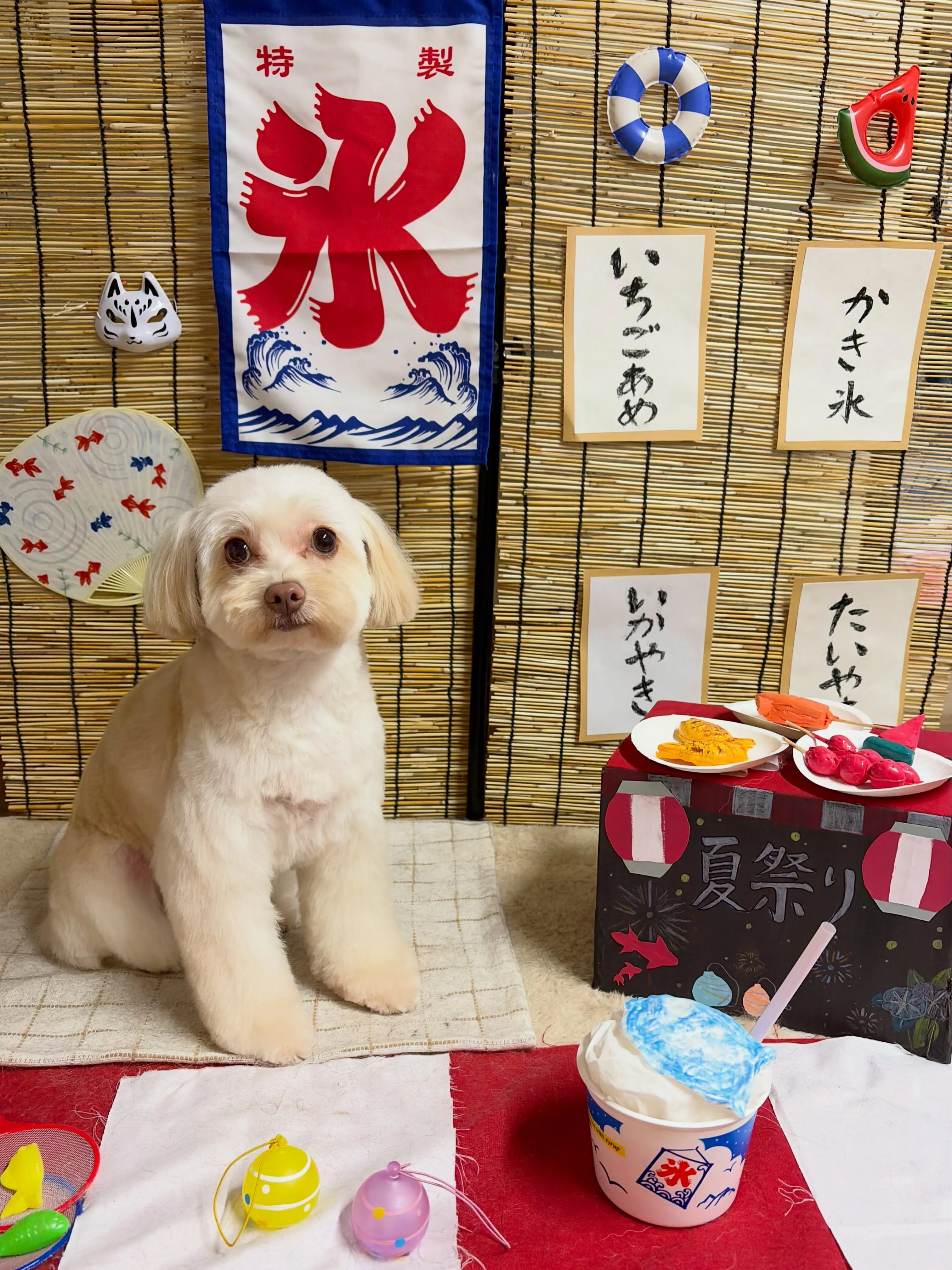 🍃8/8のトリミング🍃ミックス犬🐶｜名東区・千種区・守山区の...