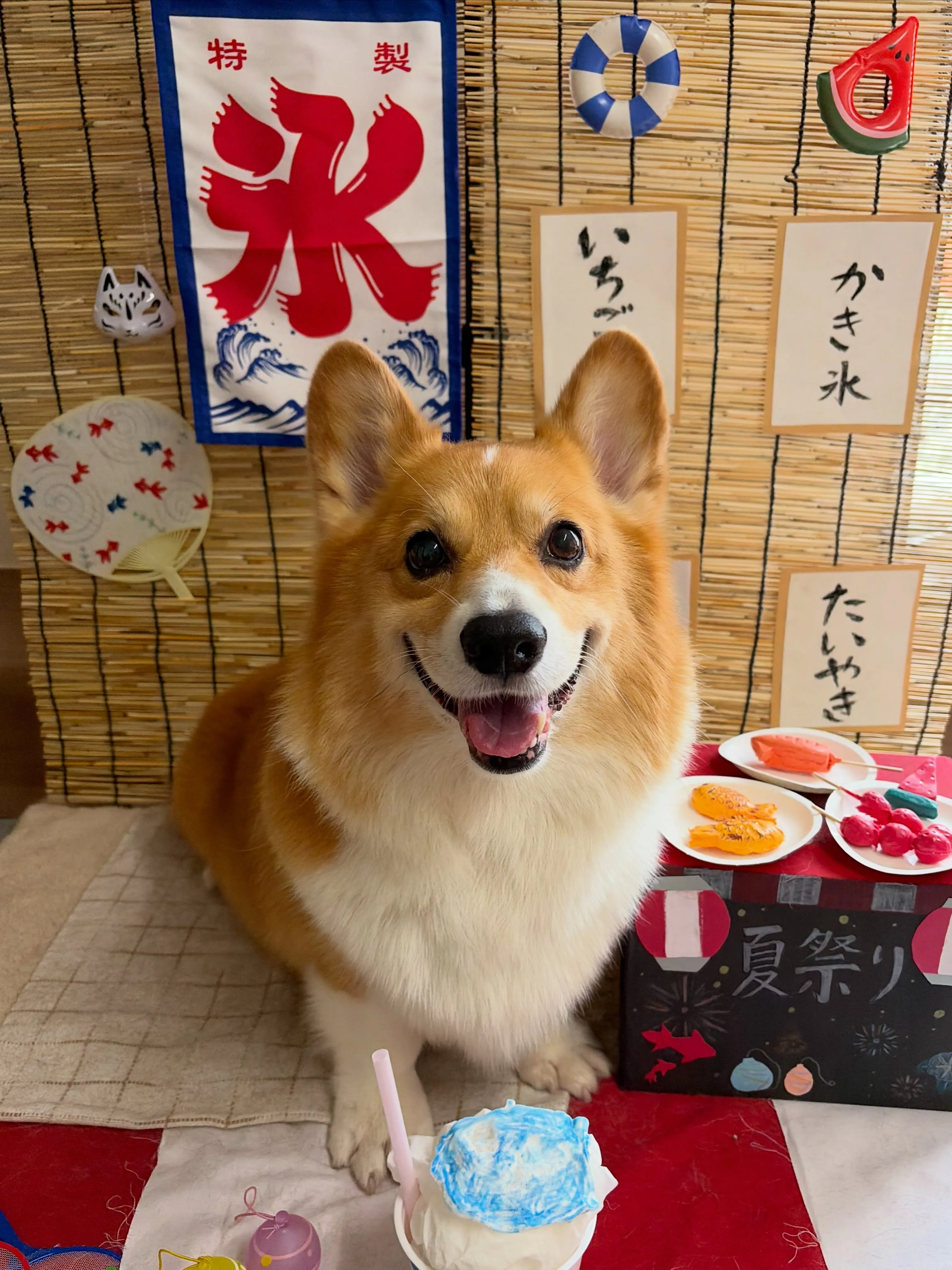 🍃8/9のトリミング🍃コーギー🐶|名東区・千種区・守山区の動...