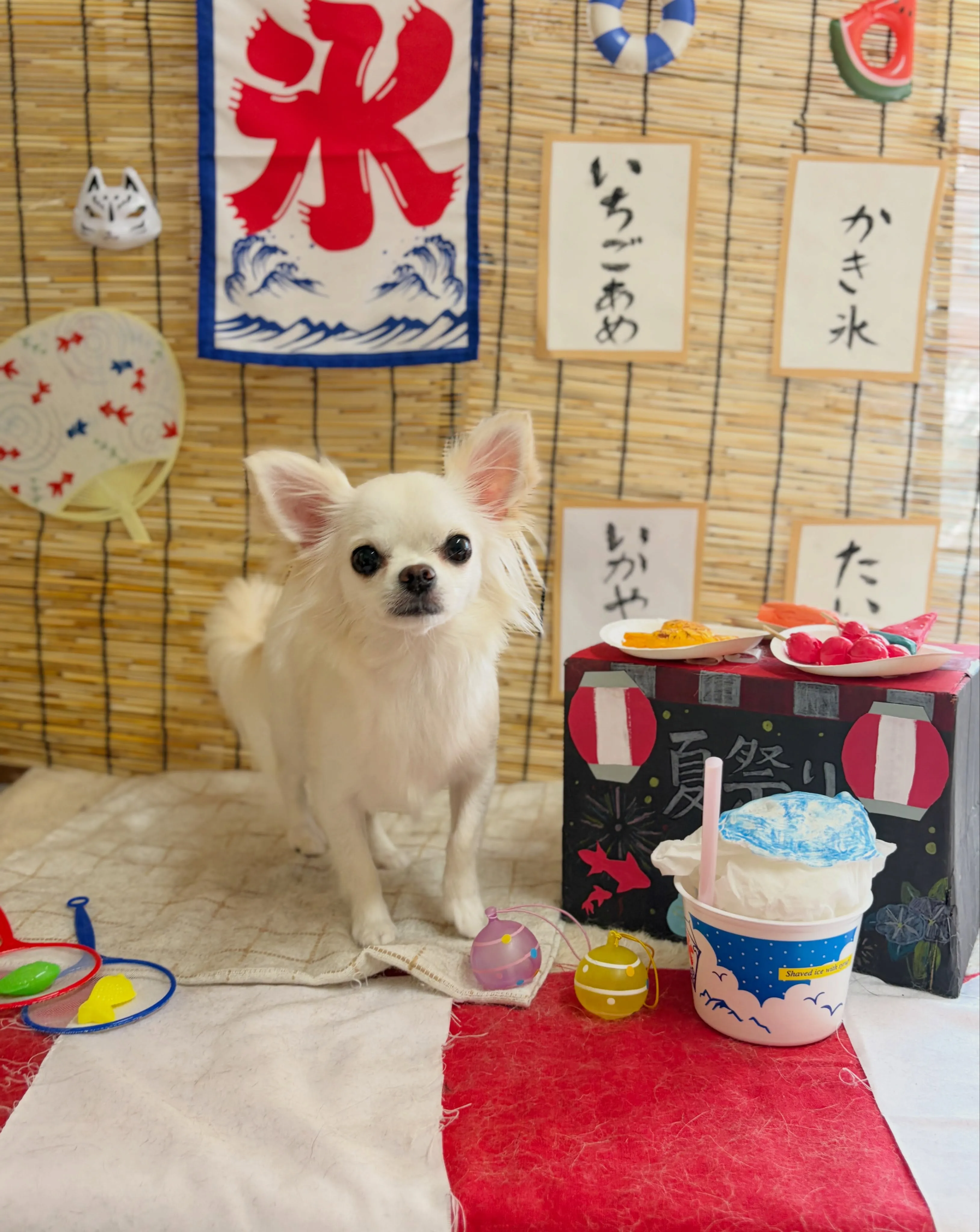 🍃8/10のトリミング🍃マルチーズ🐶チワワ🐶|名東区・千種区...