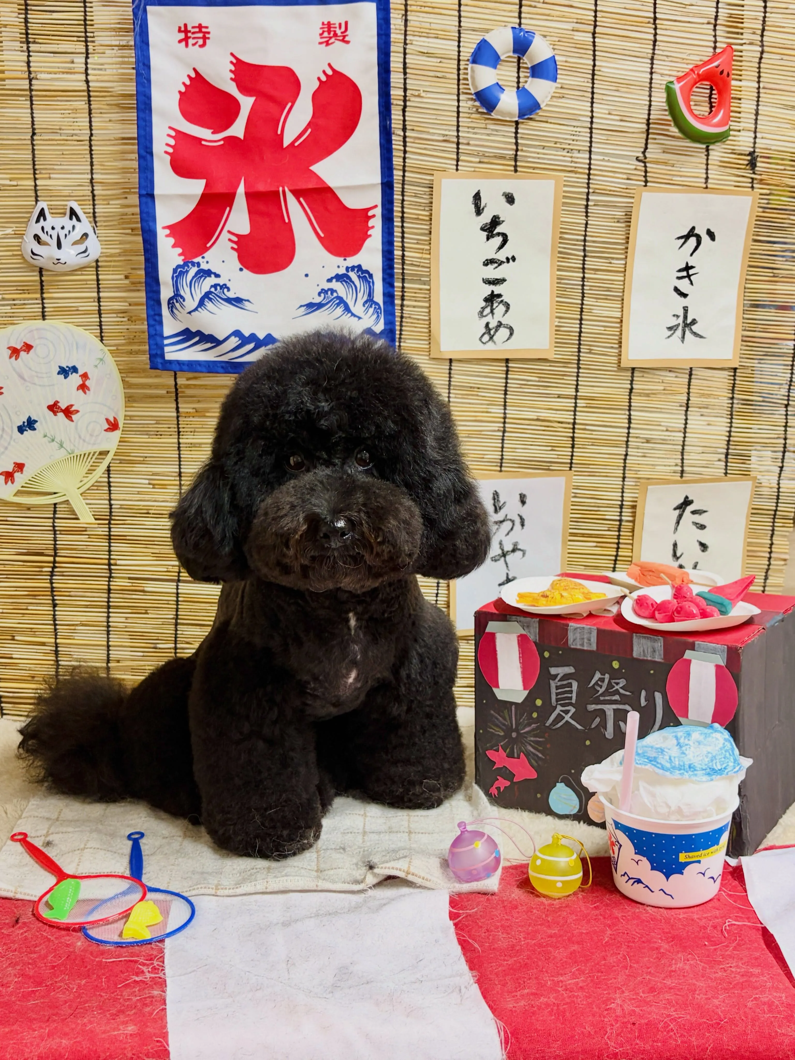 🍃8/10のトリミング🍃ミックス犬🐶｜名東区・千種区・守山区...